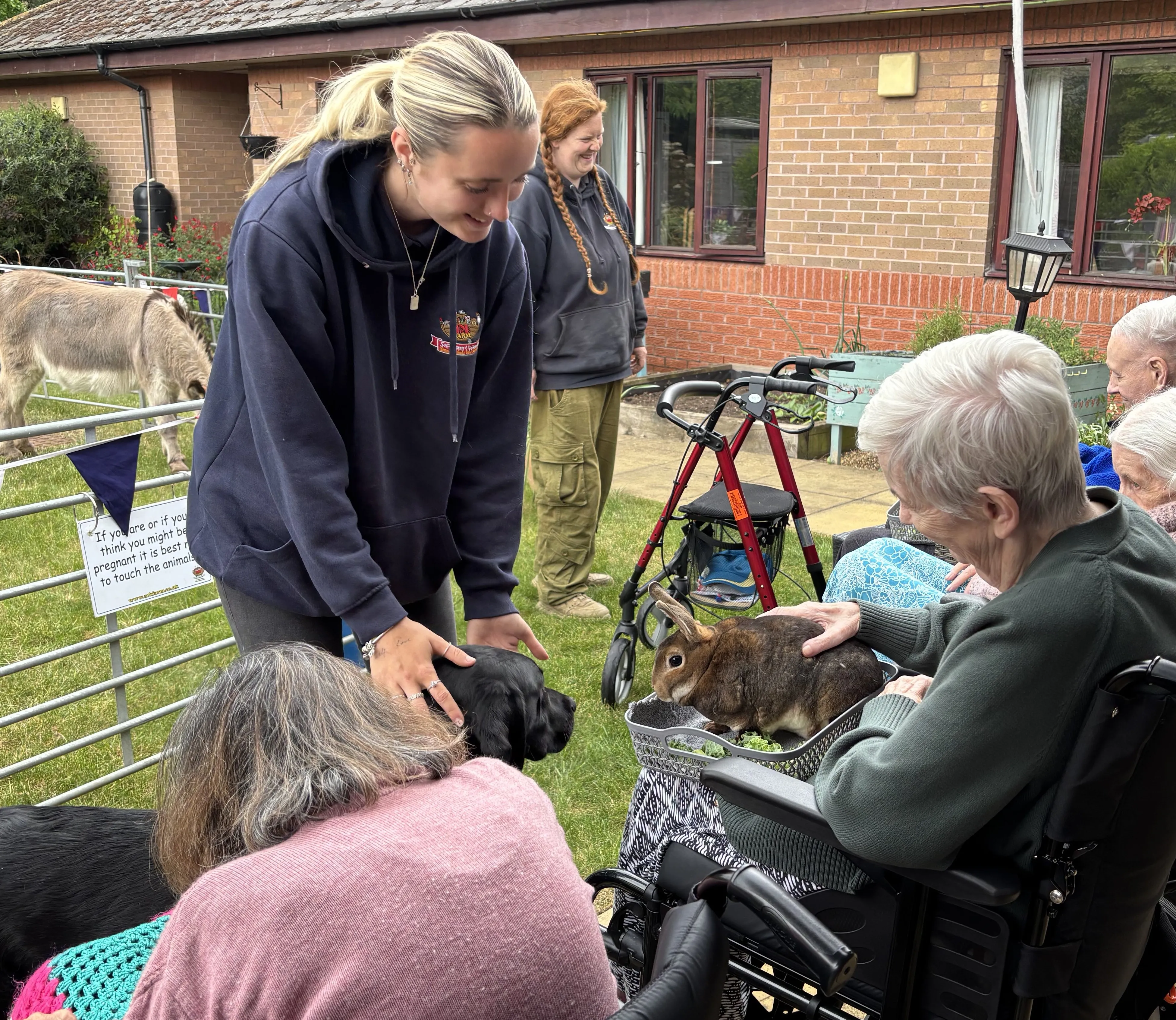 Animal visits in the garden 