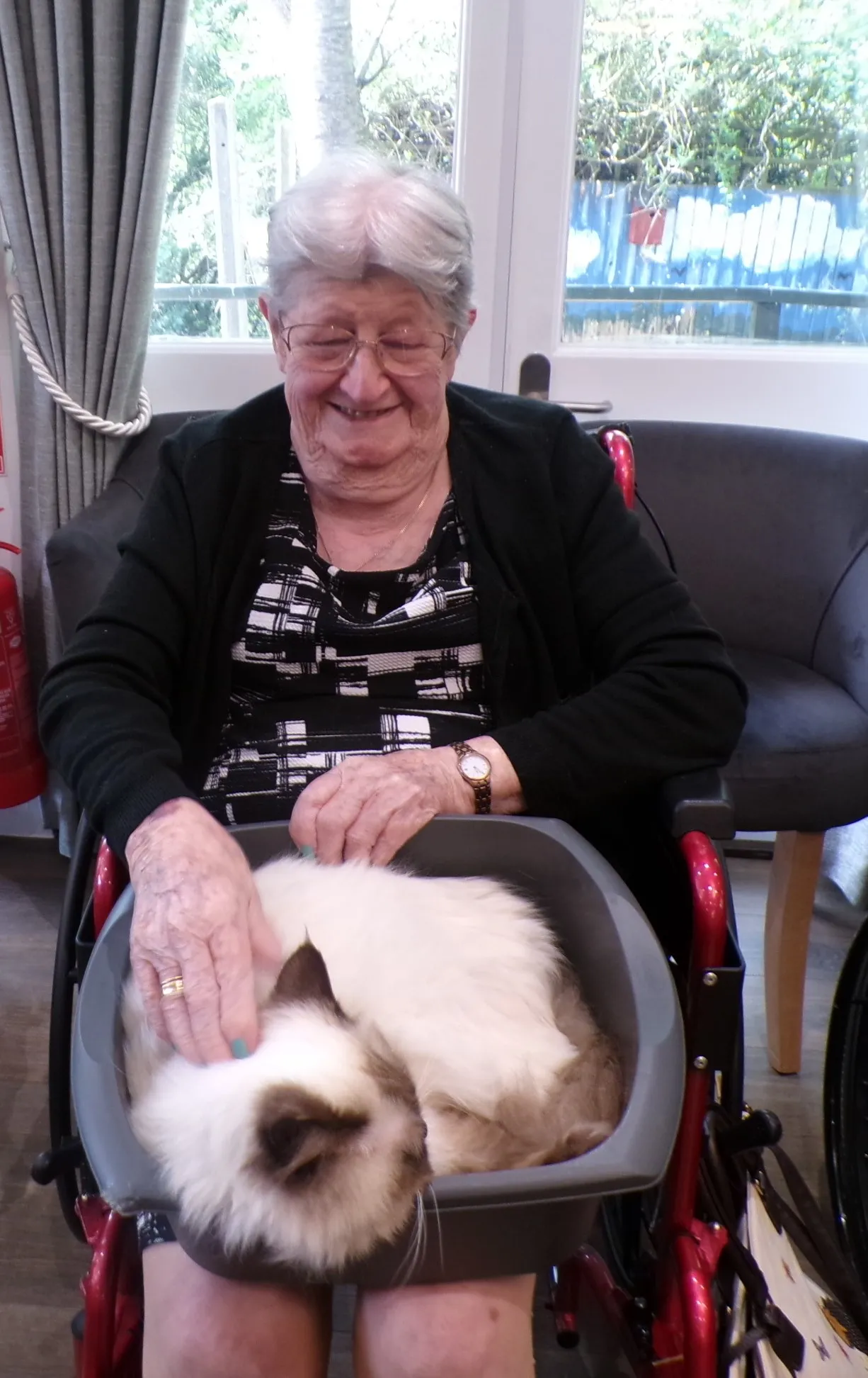 Animal therapy 