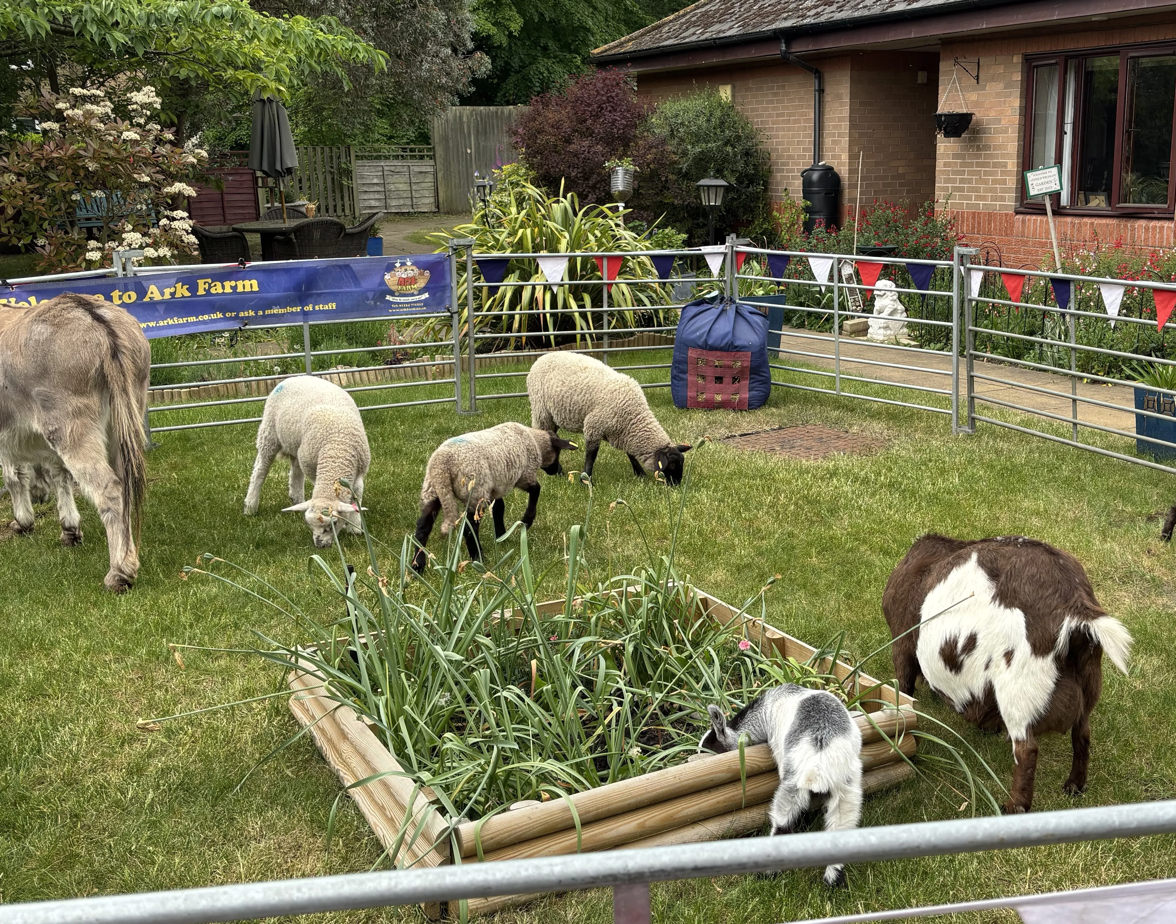 Animal visits in the garden 