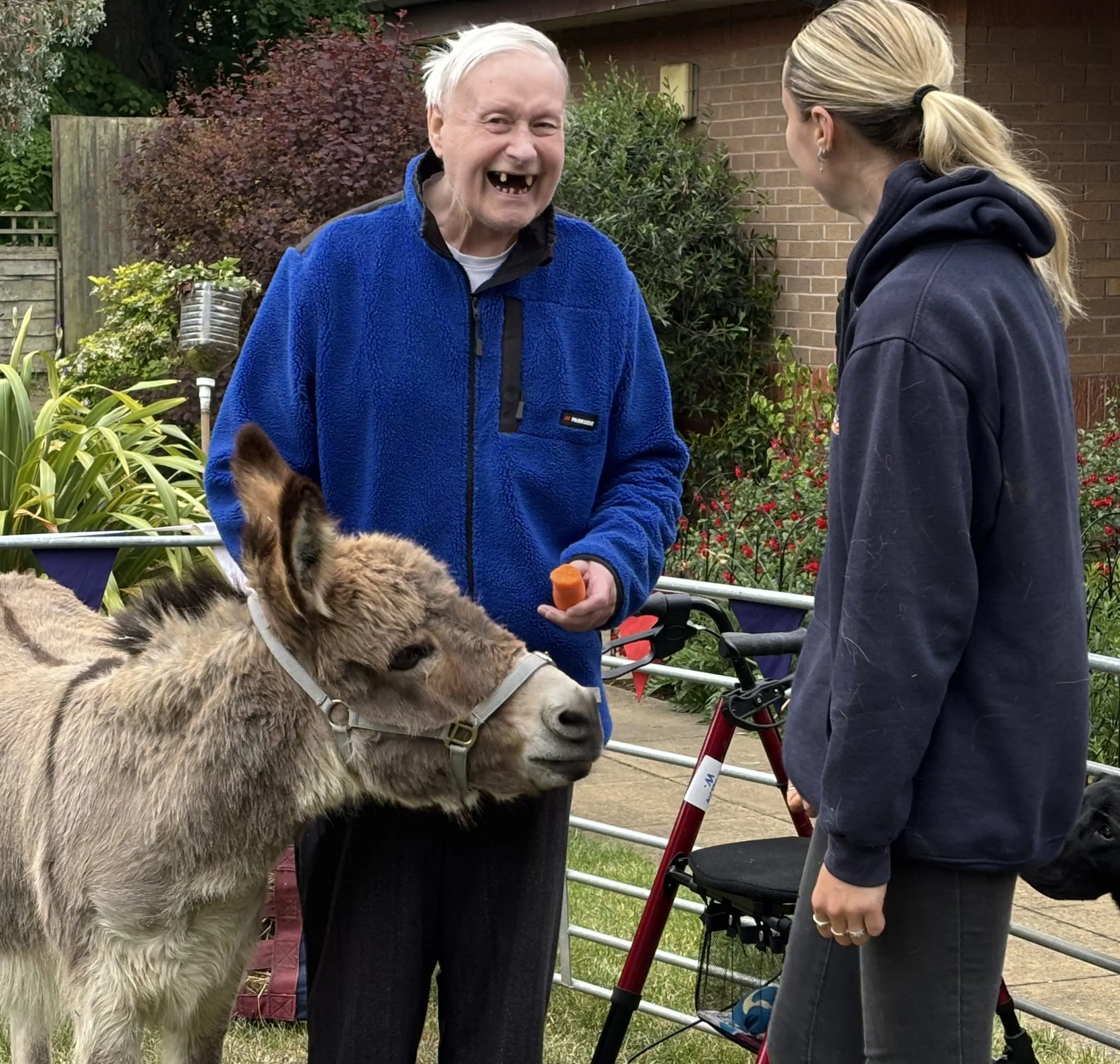 Animal visits in the garden 