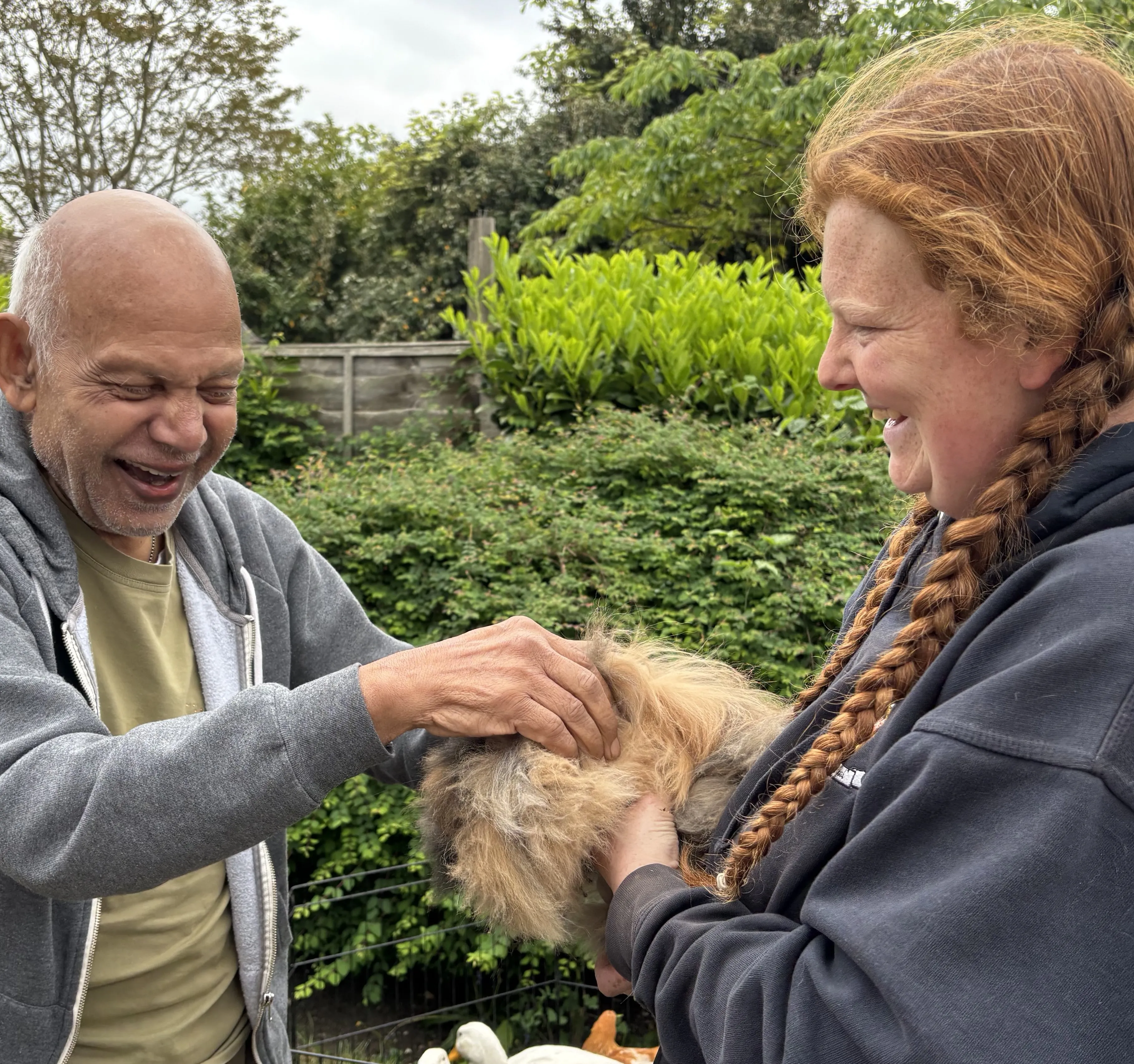 Animal visits in the garden 