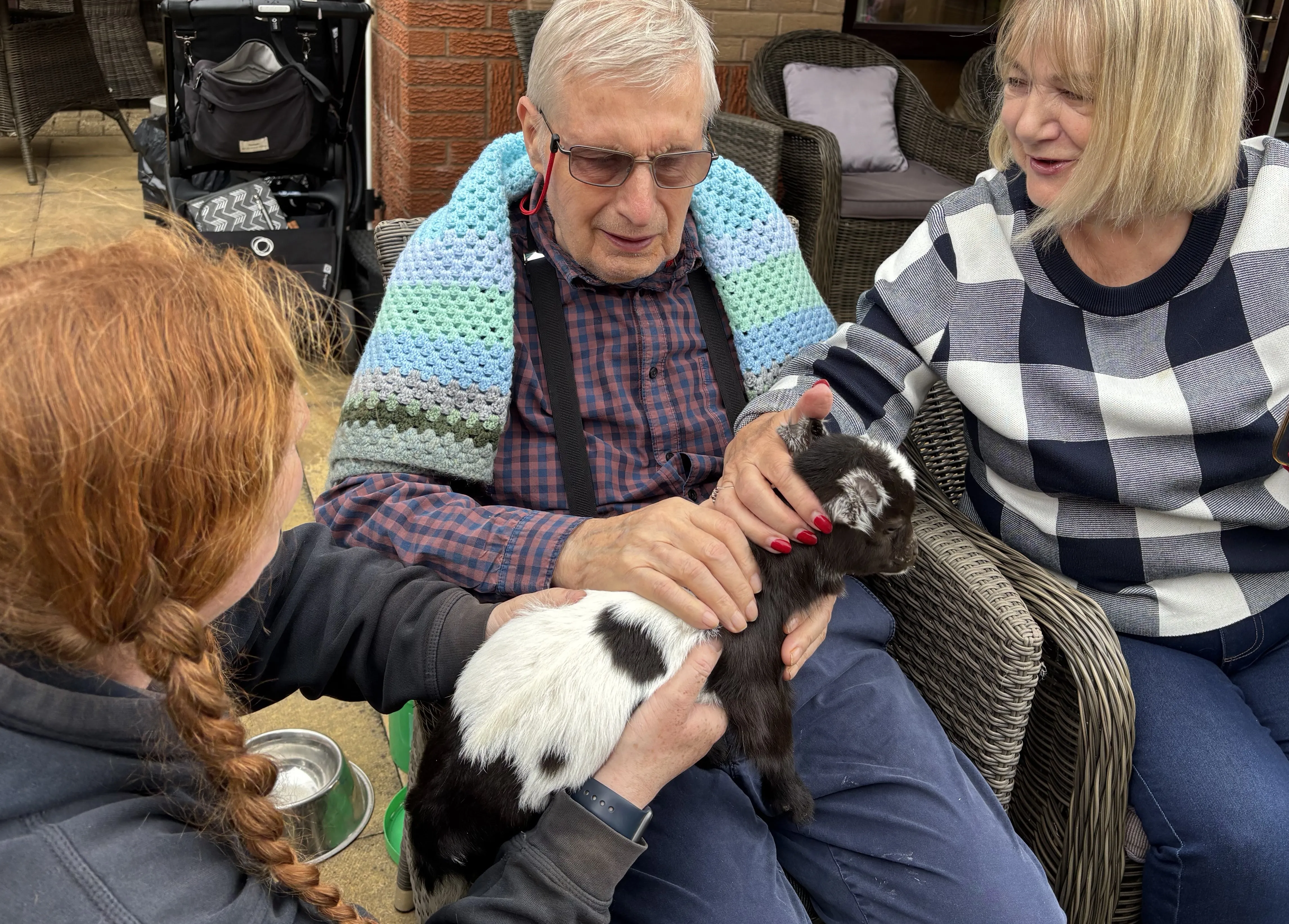 Animal visits in the garden 