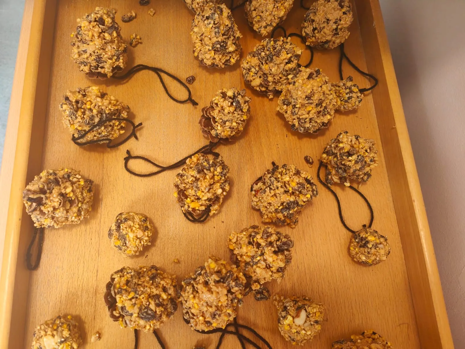 Bird feeder making 