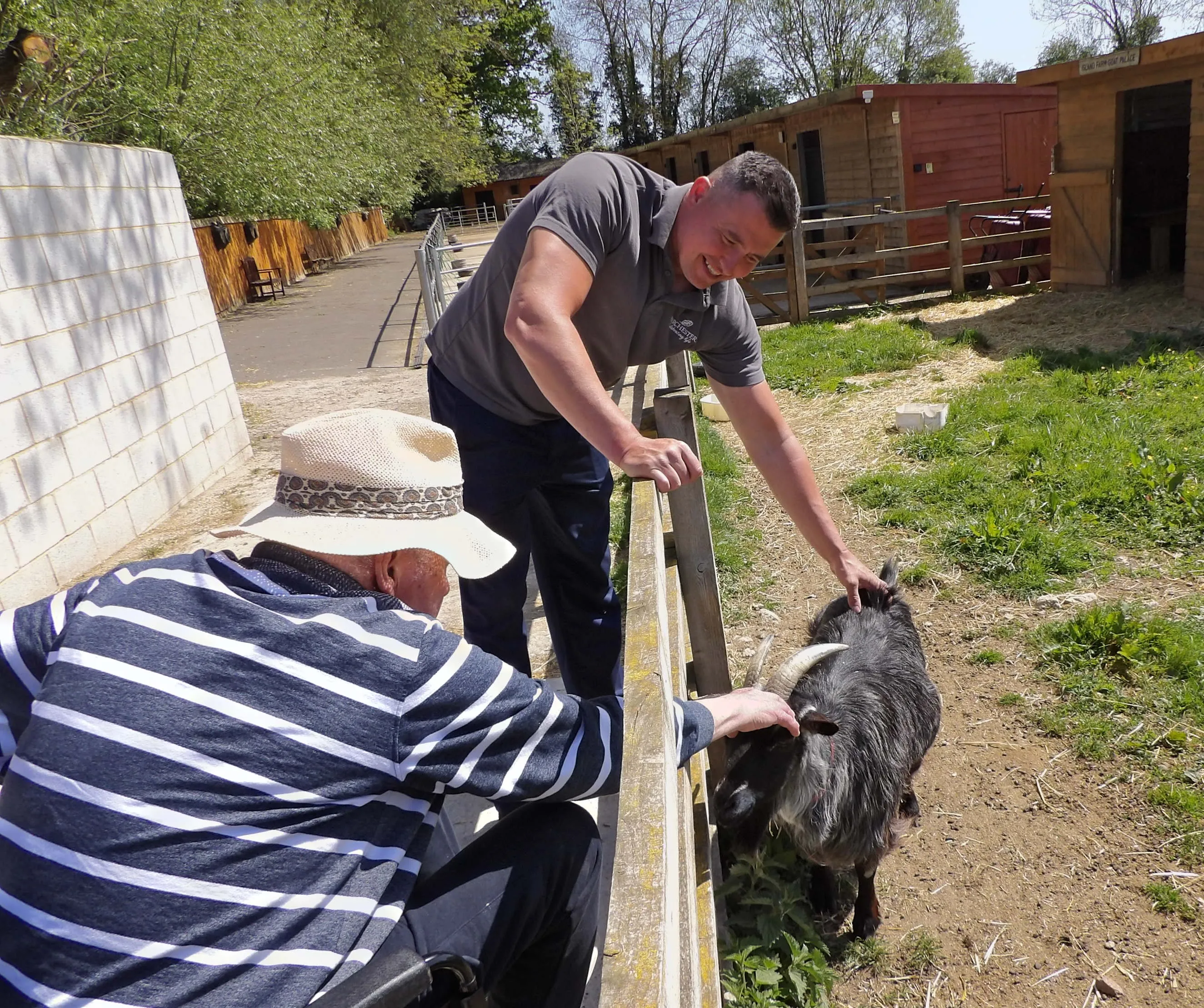 A wholesome day out to Island Farm Donkey Sanctuary 