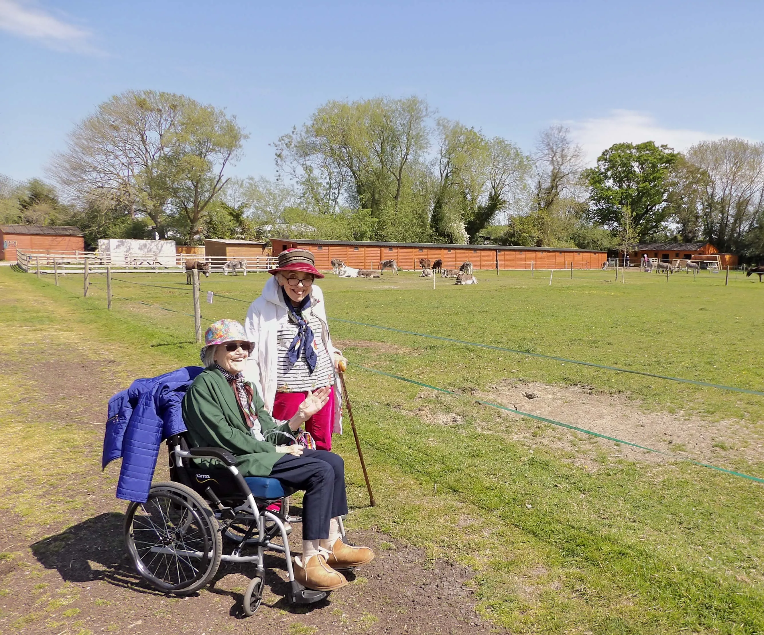 A wholesome day out to Island Farm Donkey Sanctuary 