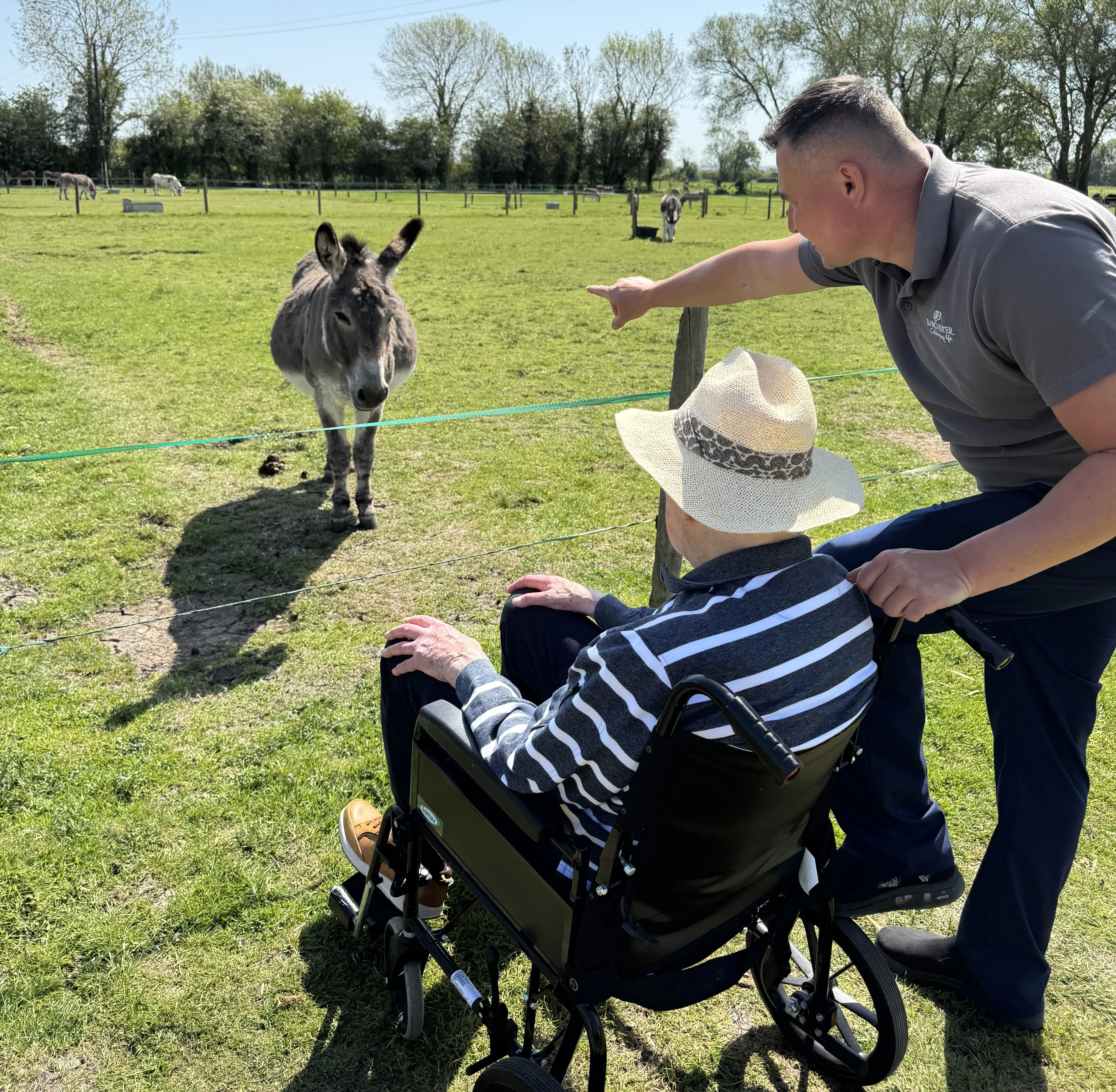 A wholesome day out to Island Farm Donkey Sanctuary 