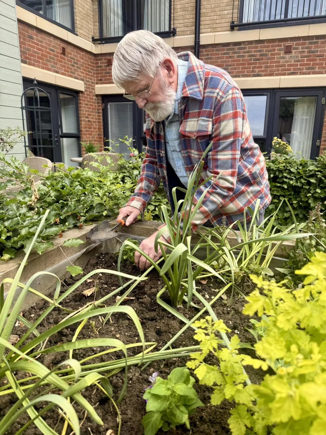 Chelsea Flower Show Week 