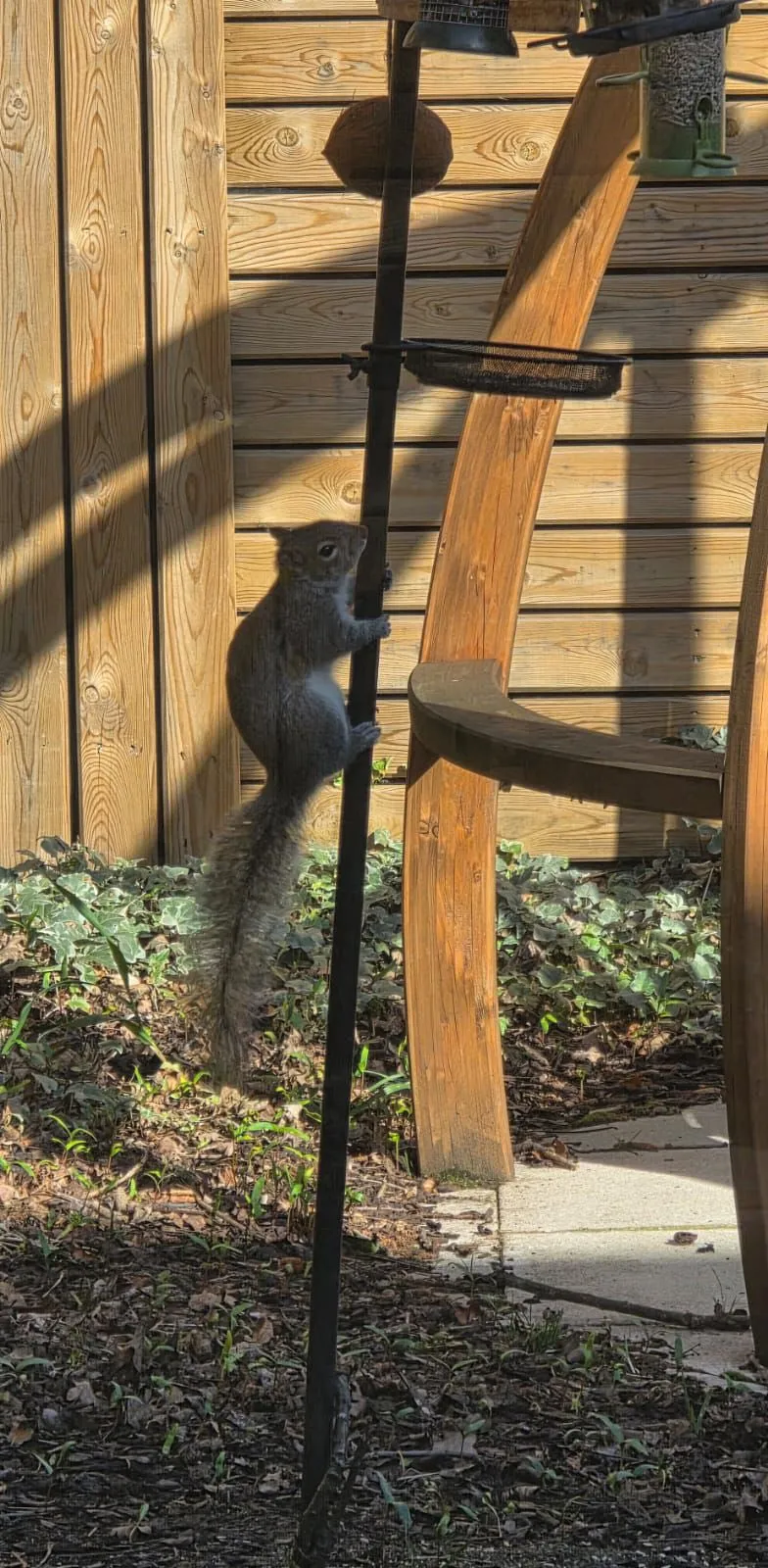 Enjoying the wildlife 