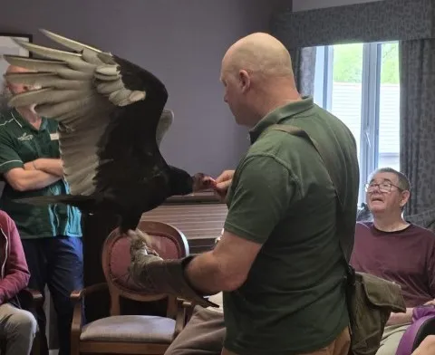 Birds of Prey 