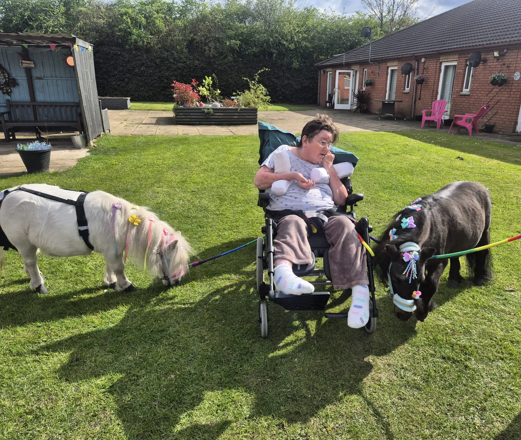 Pony visit 