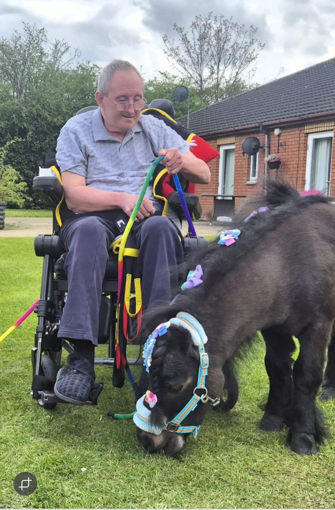 Pony visit 