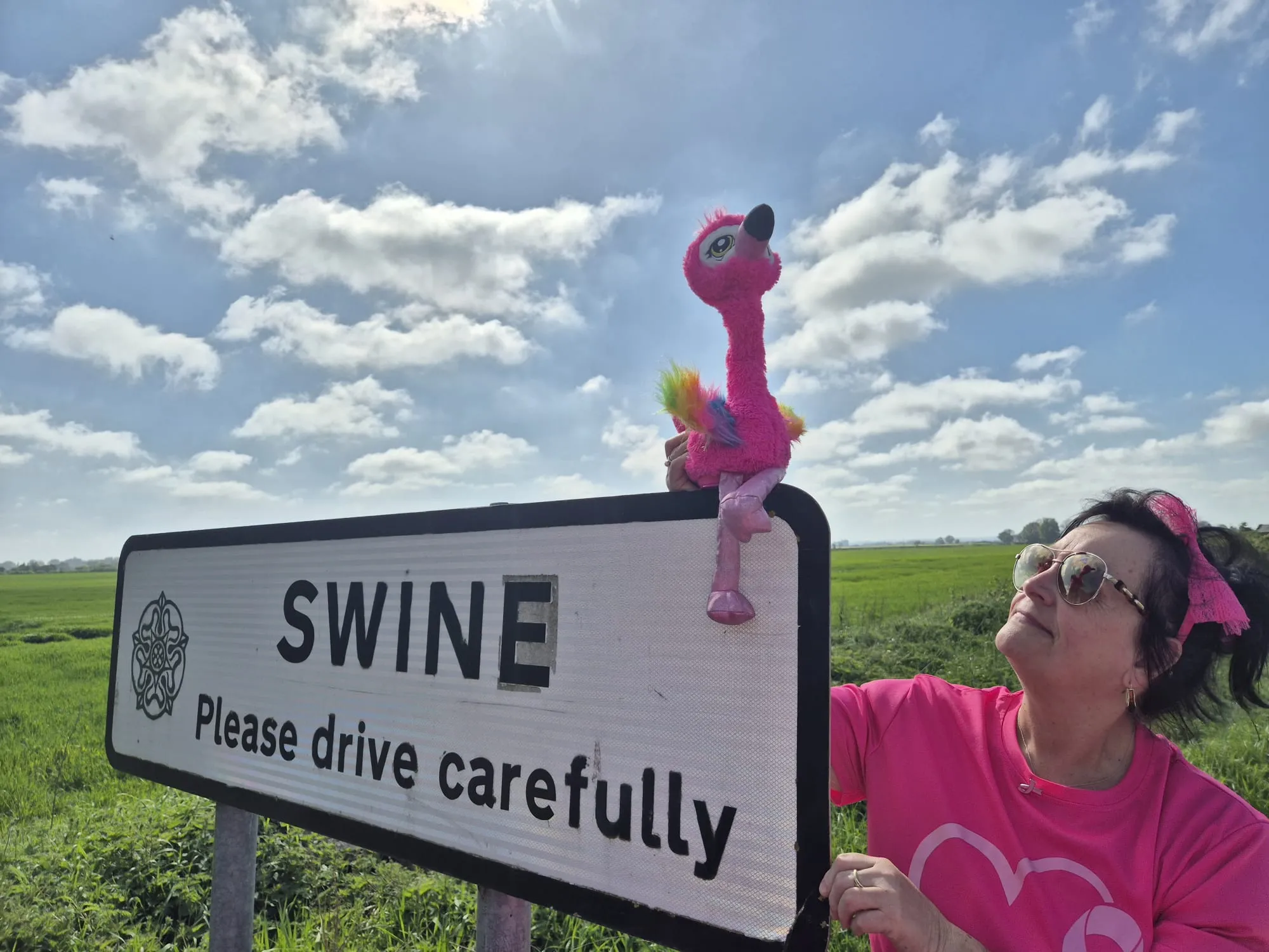 Walk to Swine 