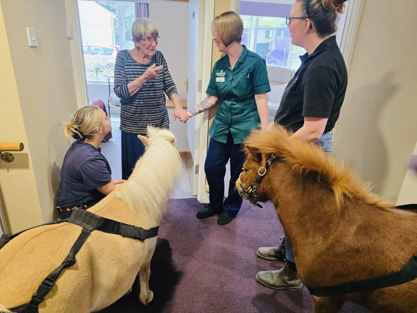 Therapy Ponies Visit Mount Tryon