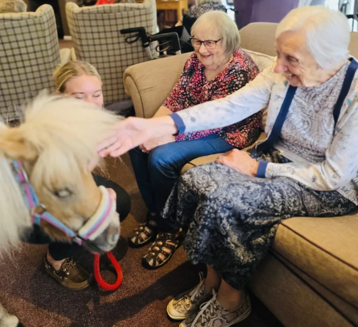 Therapy Ponies Visit Mount Tryon