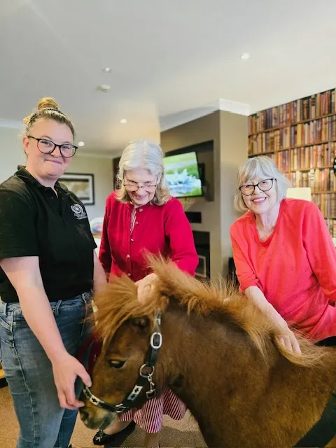 Therapy Ponies Visit Mount Tryon