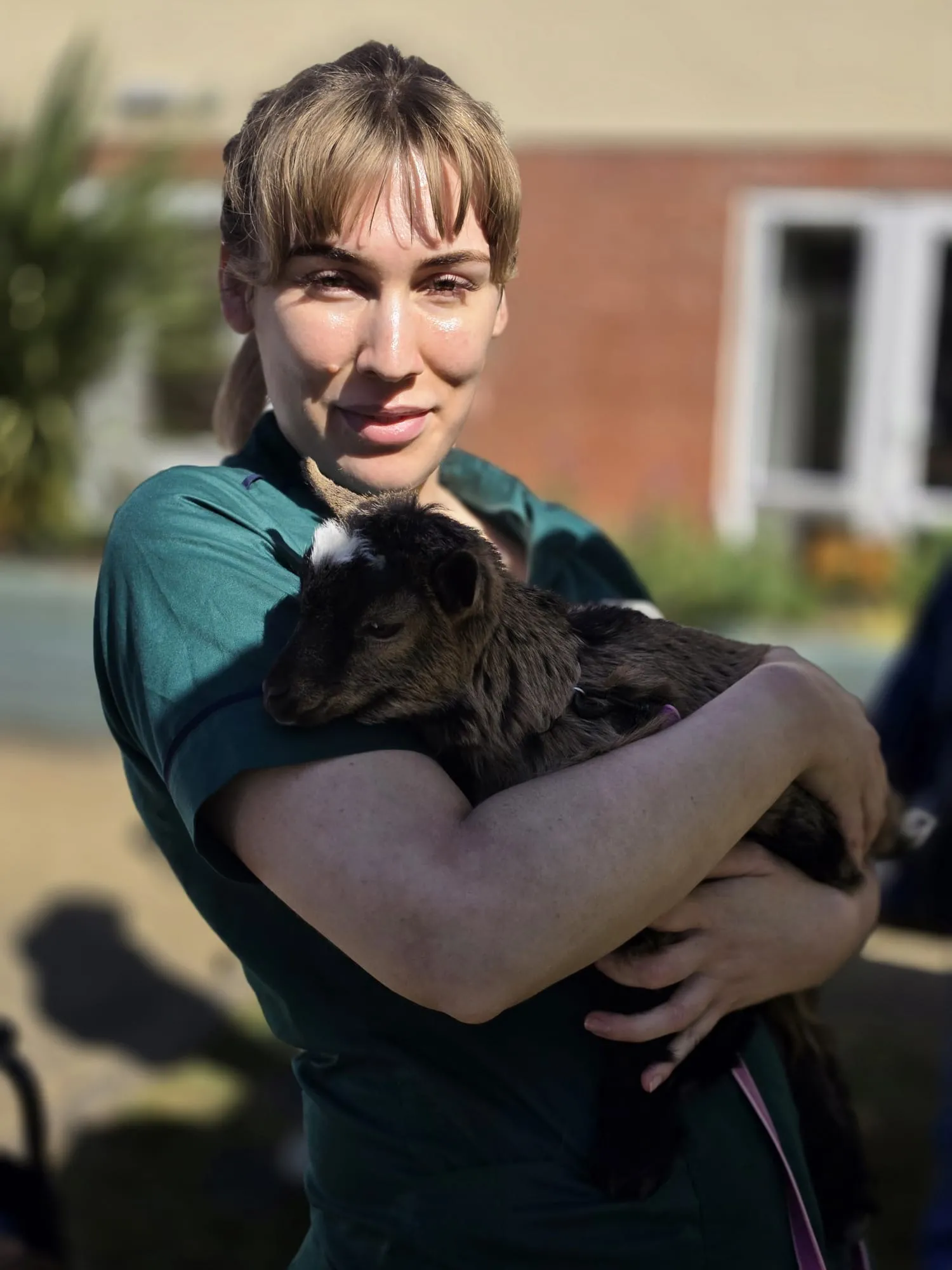 Intergenerational Farm Day for everyone at Woodland View 