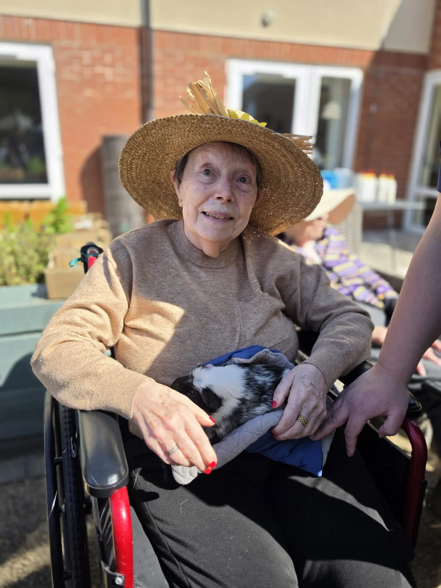 Intergenerational Farm Day for everyone at Woodland View 