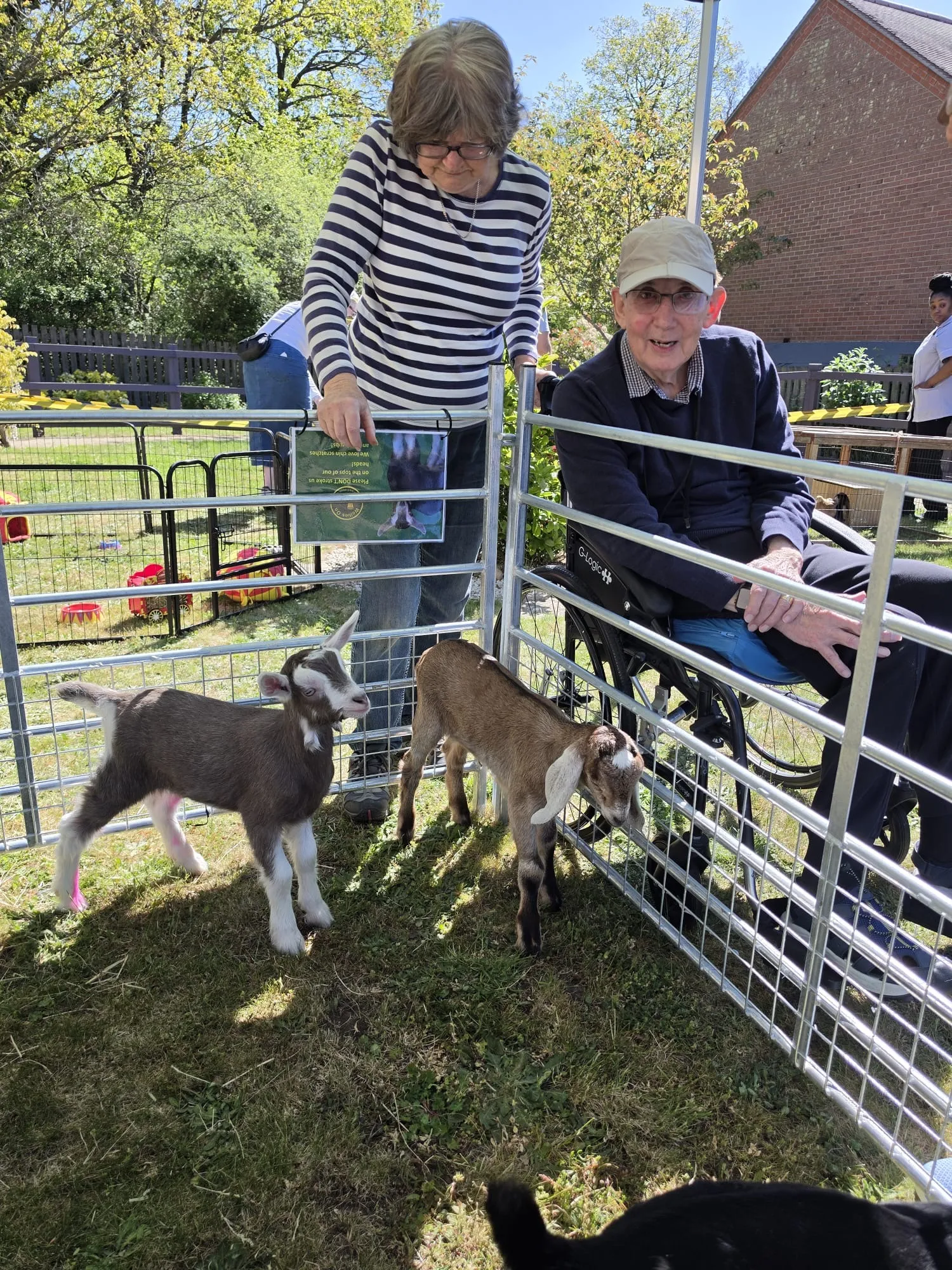 Intergenerational Farm Day for everyone at Woodland View 