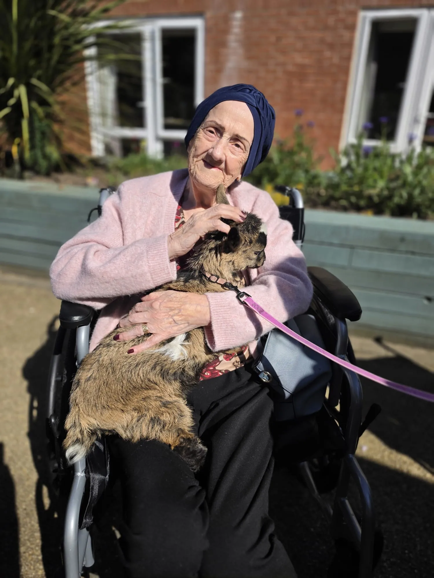 Intergenerational Farm Day for everyone at Woodland View 