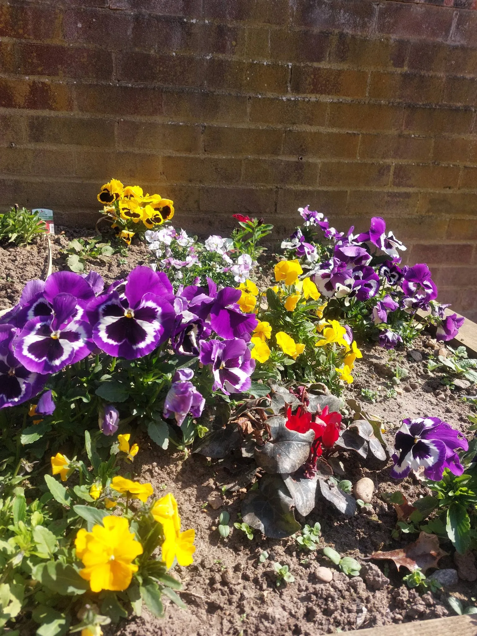 Spring Planting
