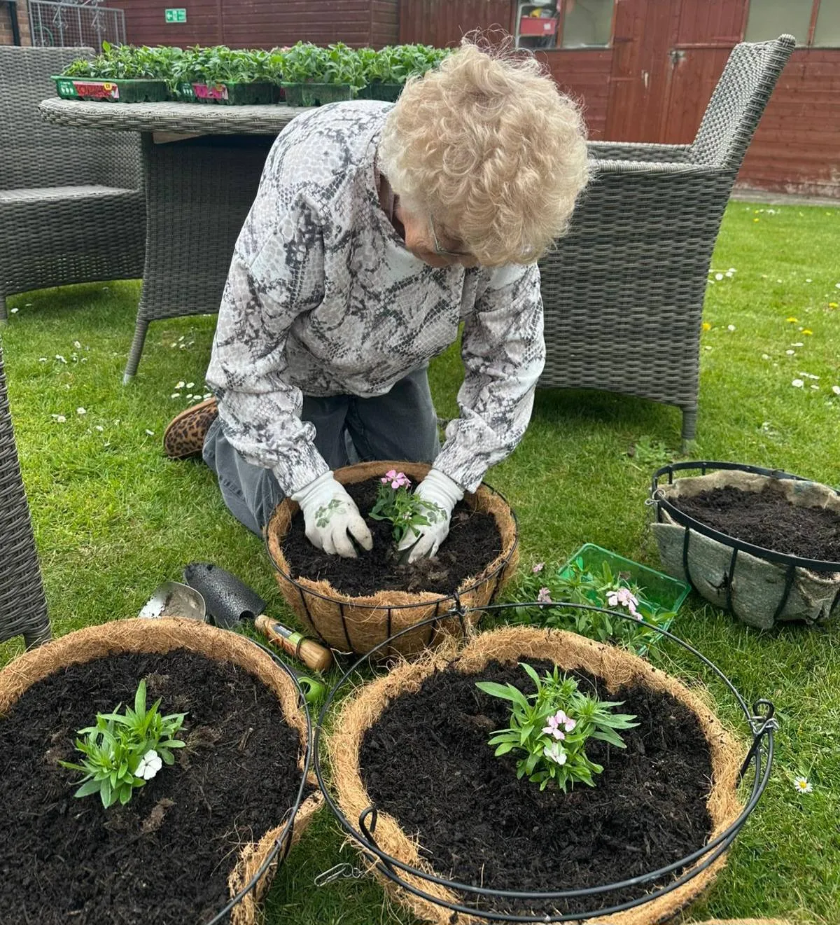 Spring Planting