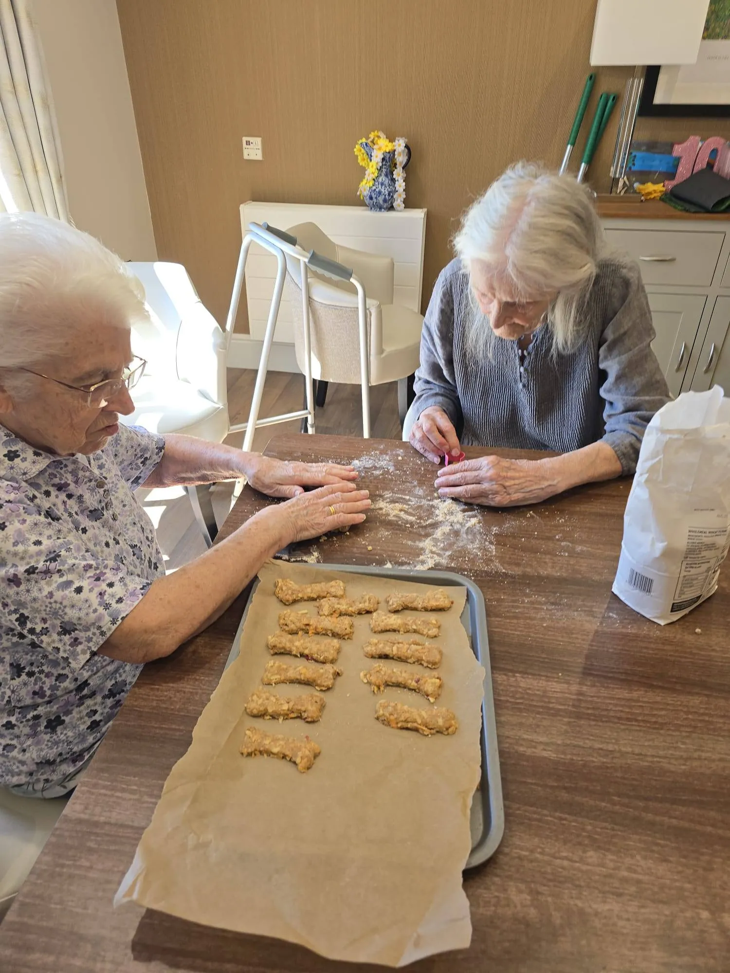 Dog show baking 