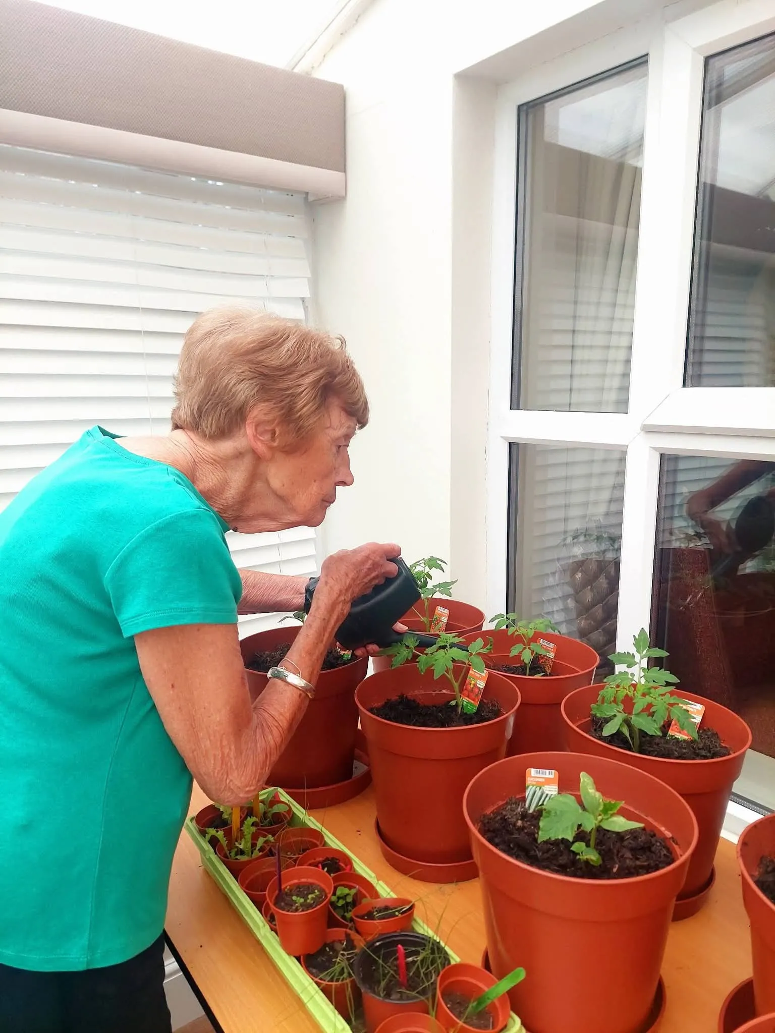 Time to get green fingered in our weekly gardening club