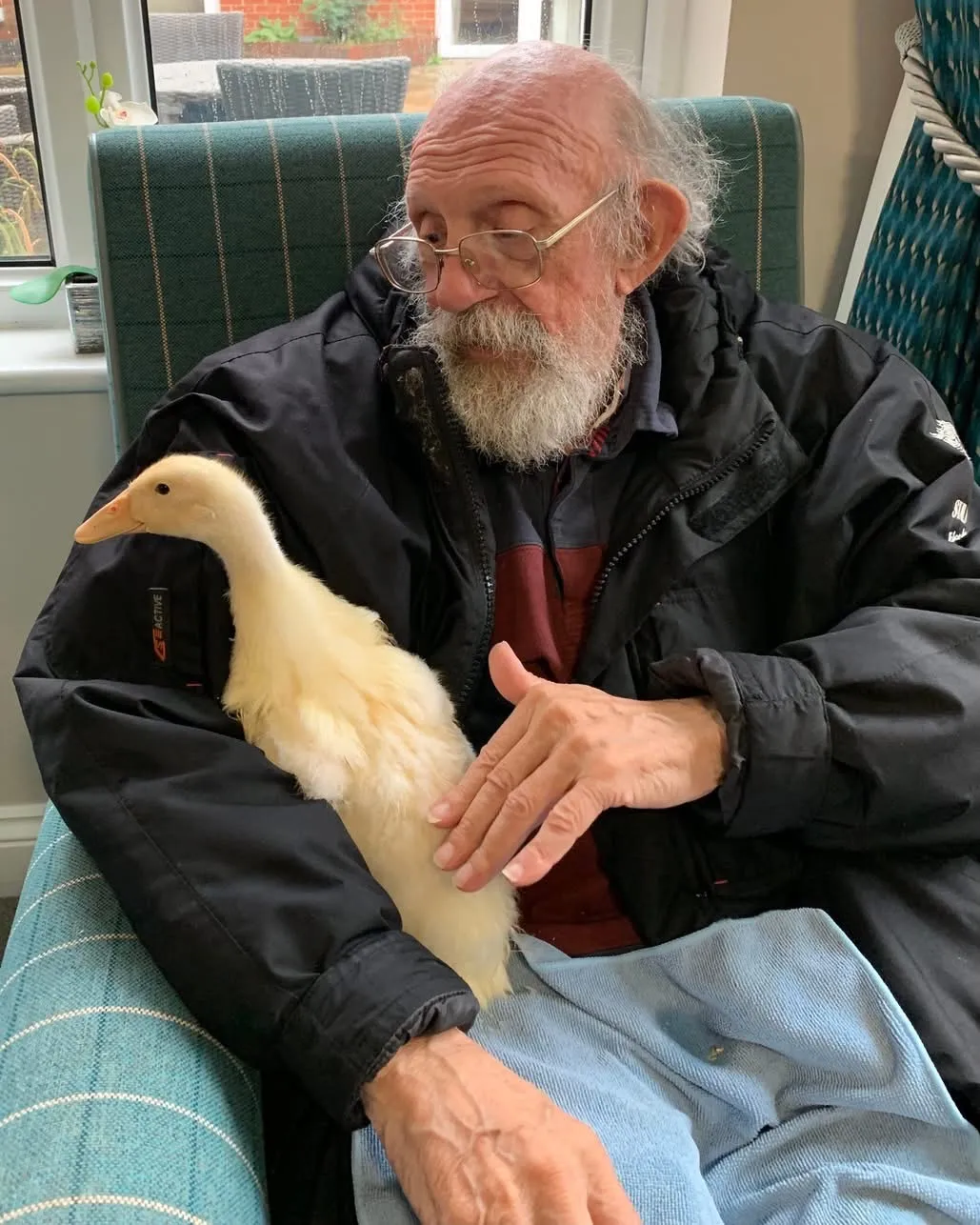 Ducklings visit Winchester House  