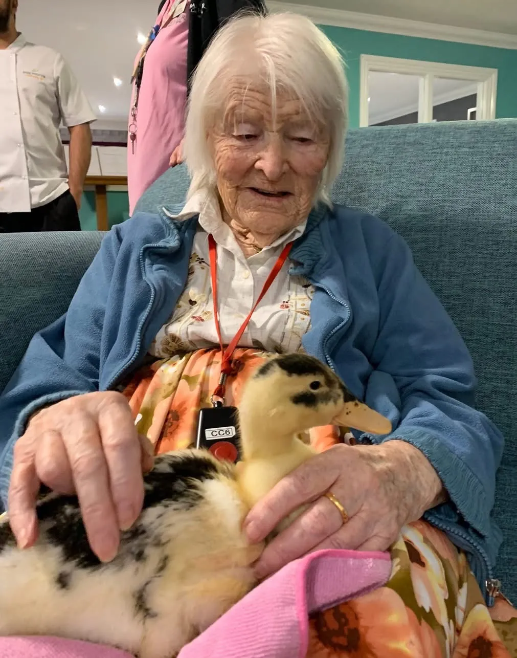 Ducklings visit Winchester House  