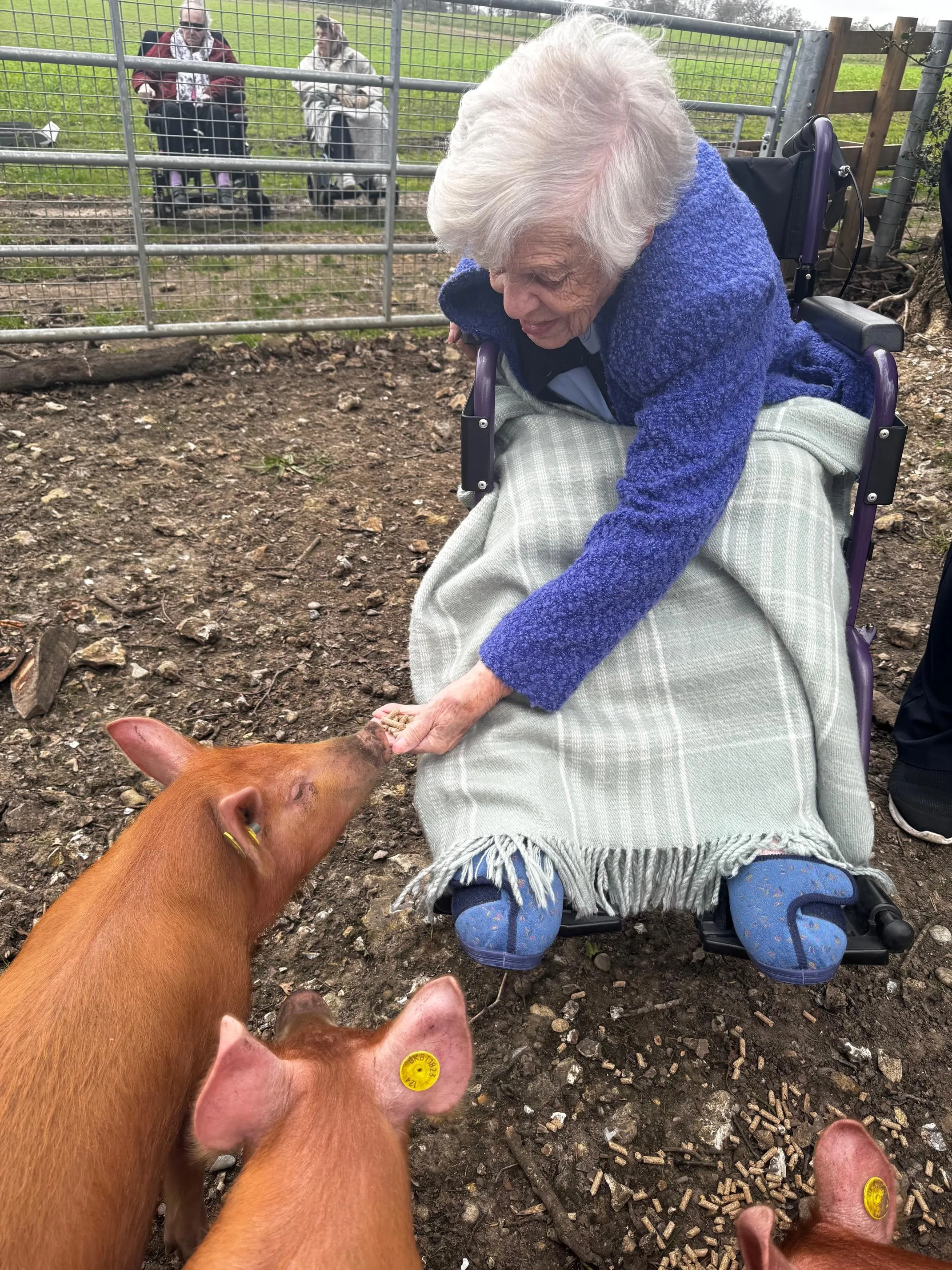 A wish come true