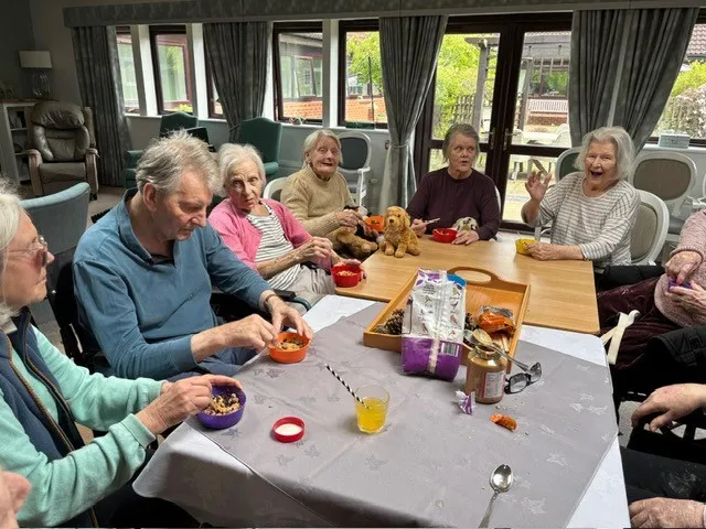 Making birdfeeders