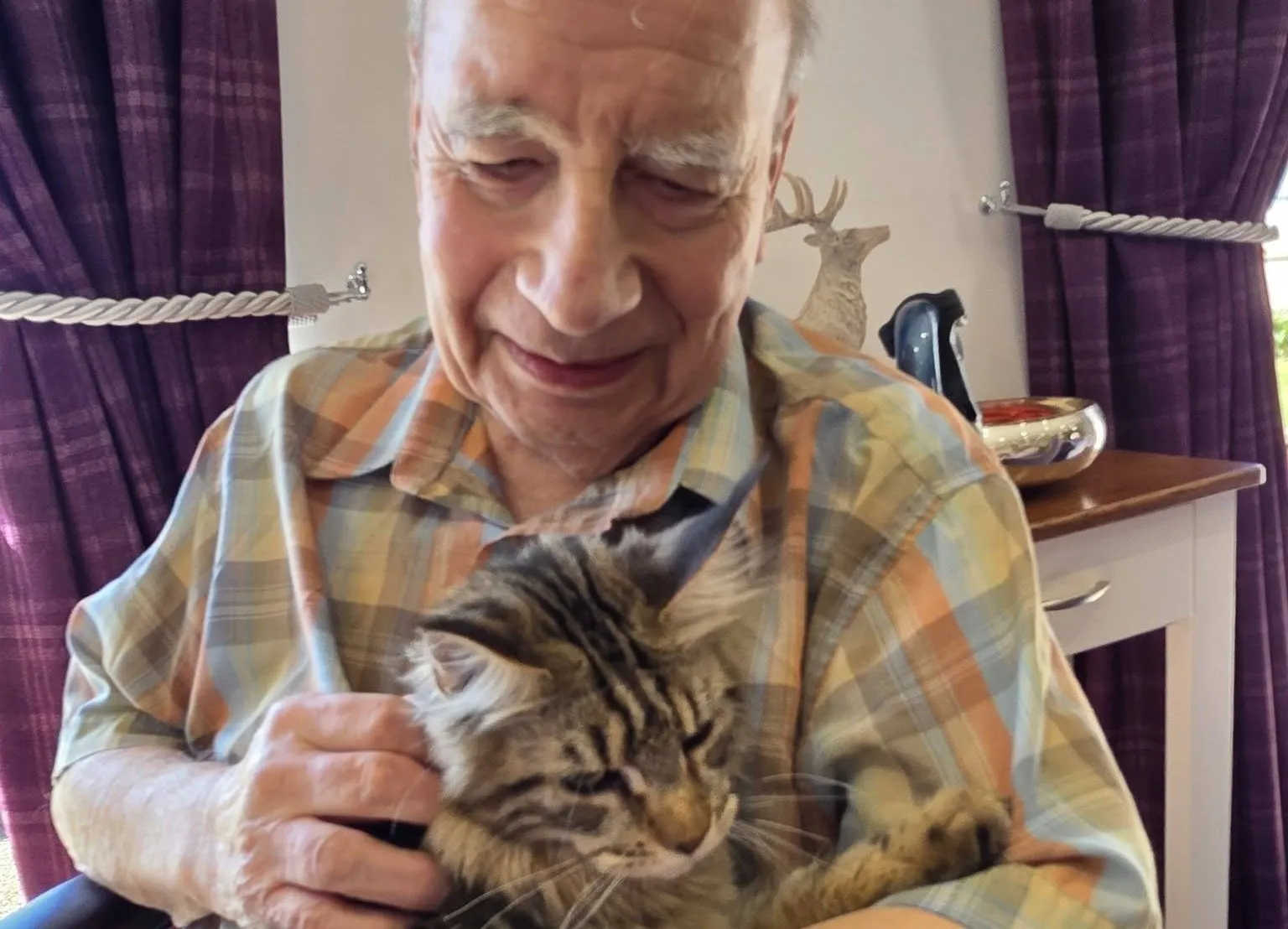 Maincoon Magic 