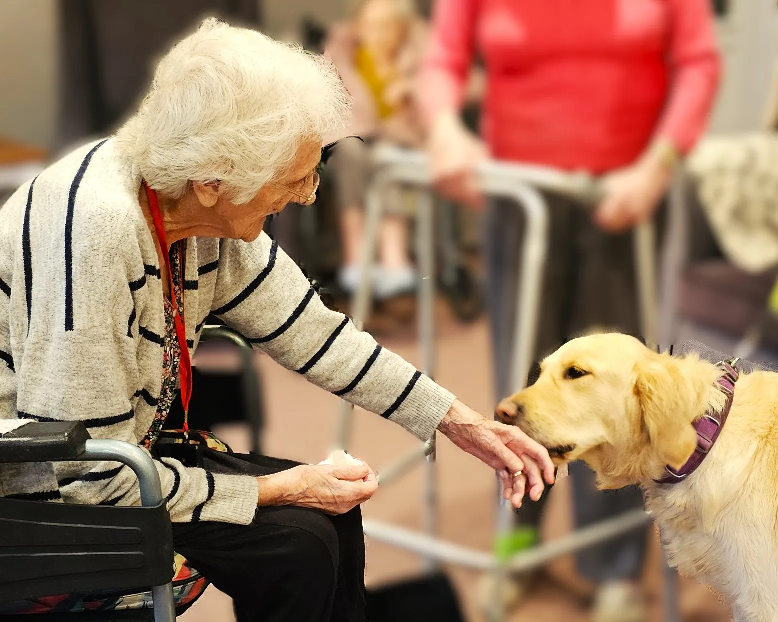GUIDE DOGS BRING JOY
