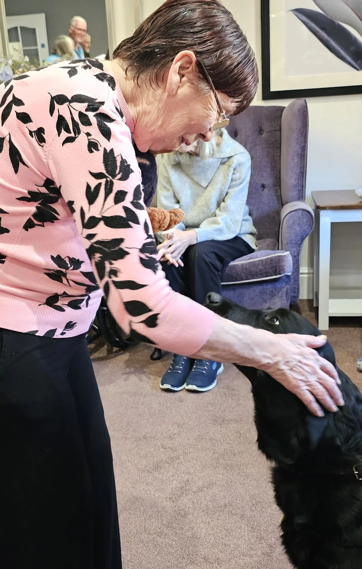 GUIDE DOGS BRING JOY