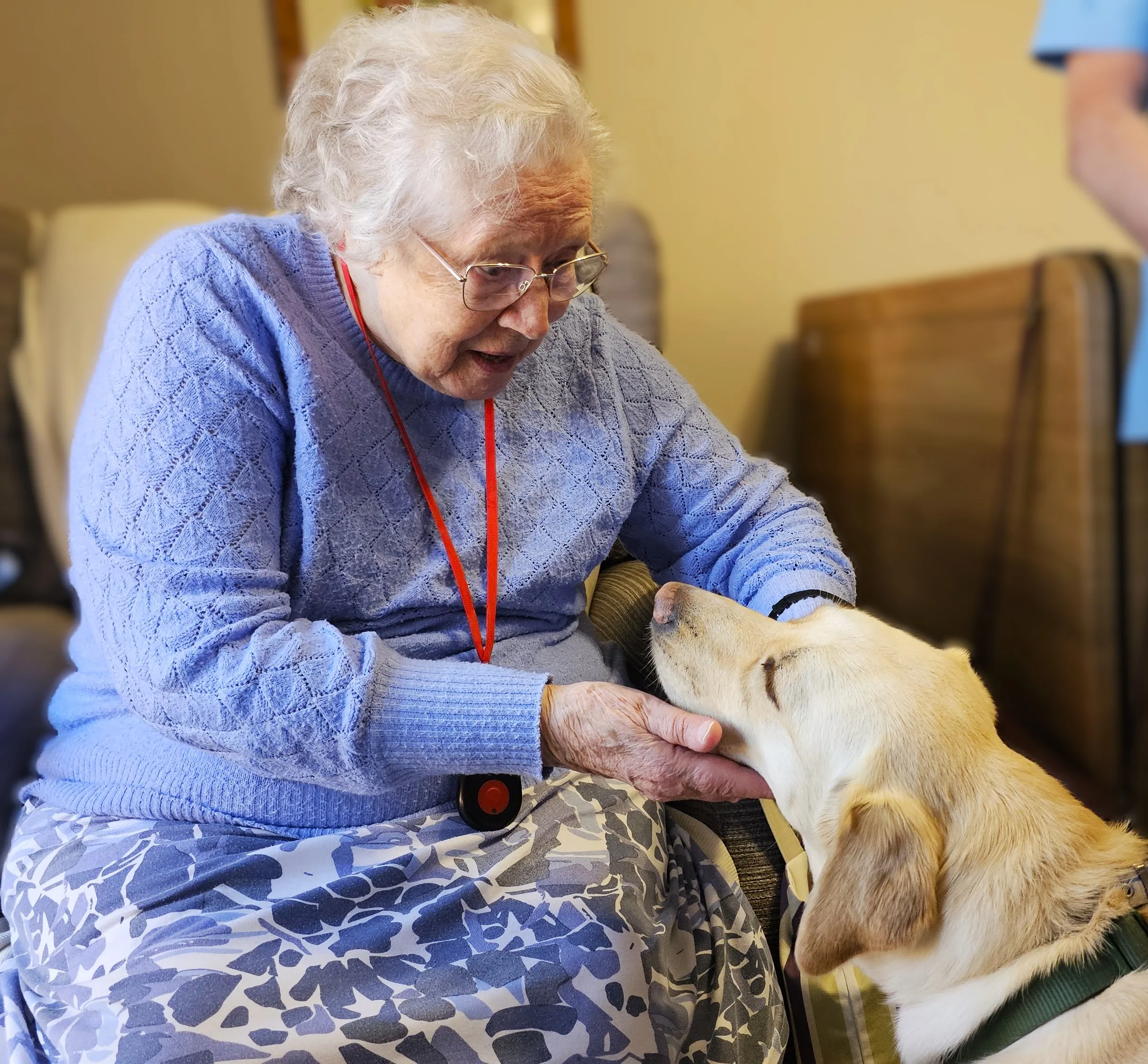 GUIDE DOGS BRING JOY