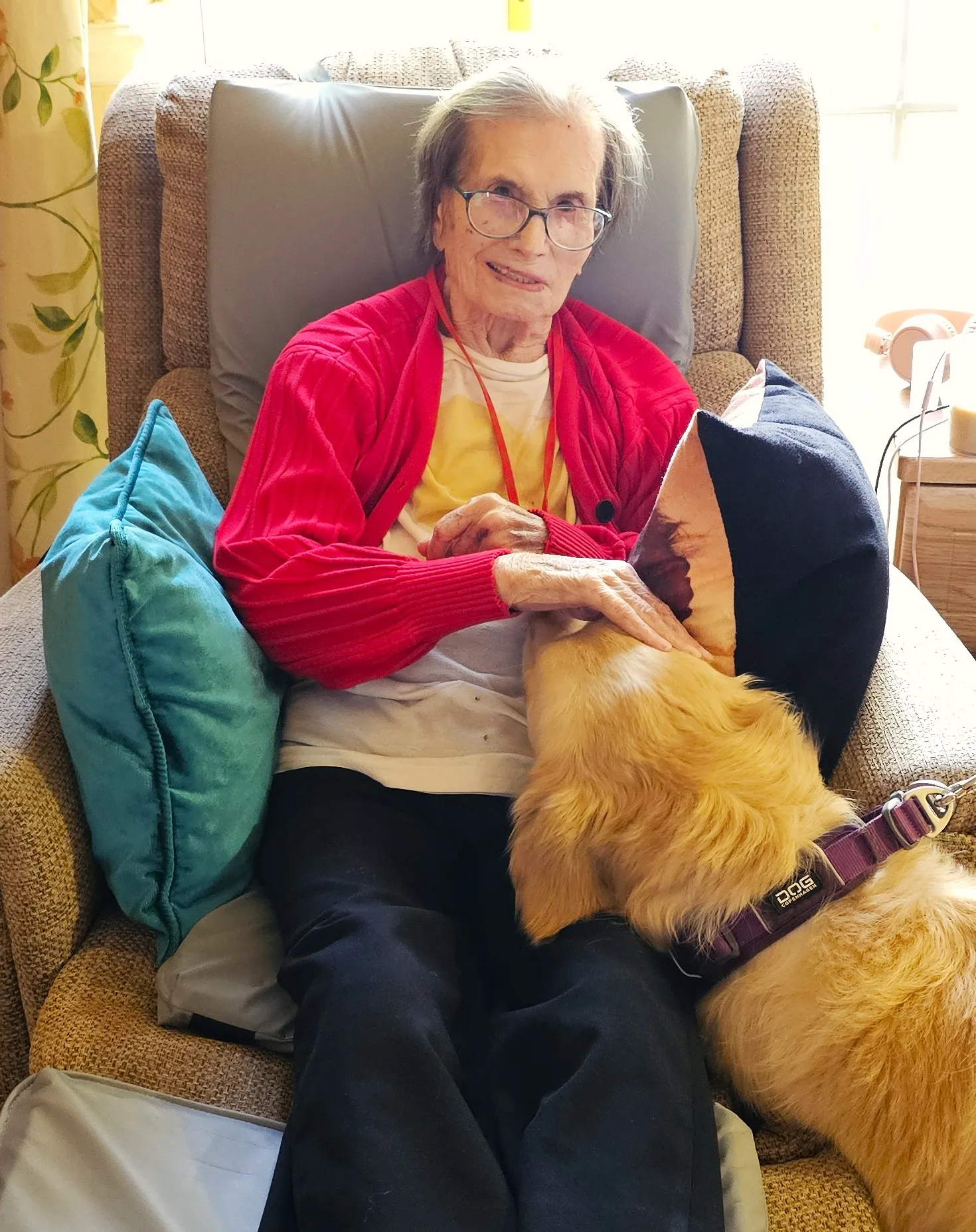 GUIDE DOGS BRING JOY