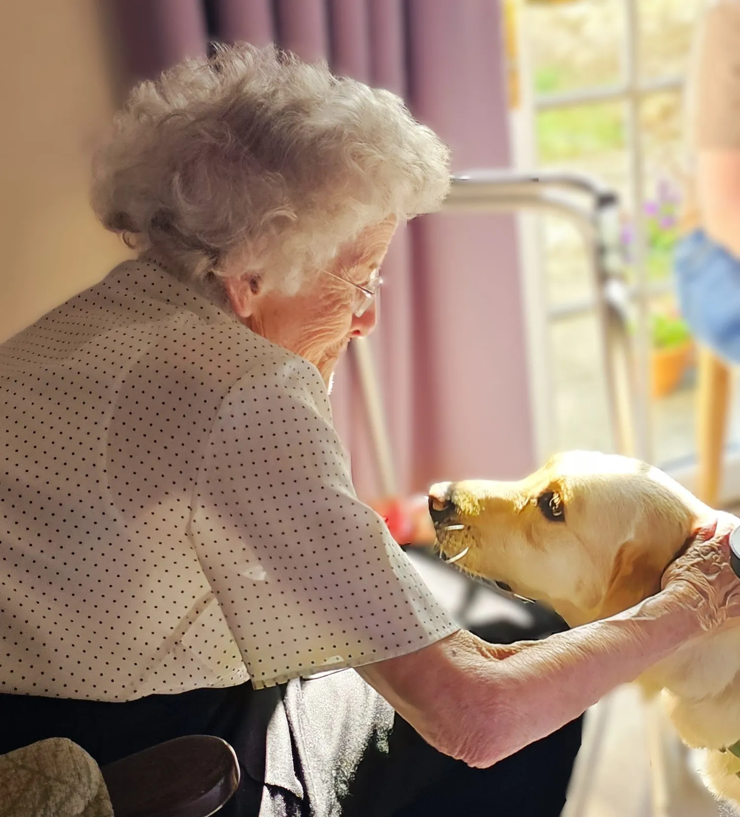 GUIDE DOGS BRING JOY