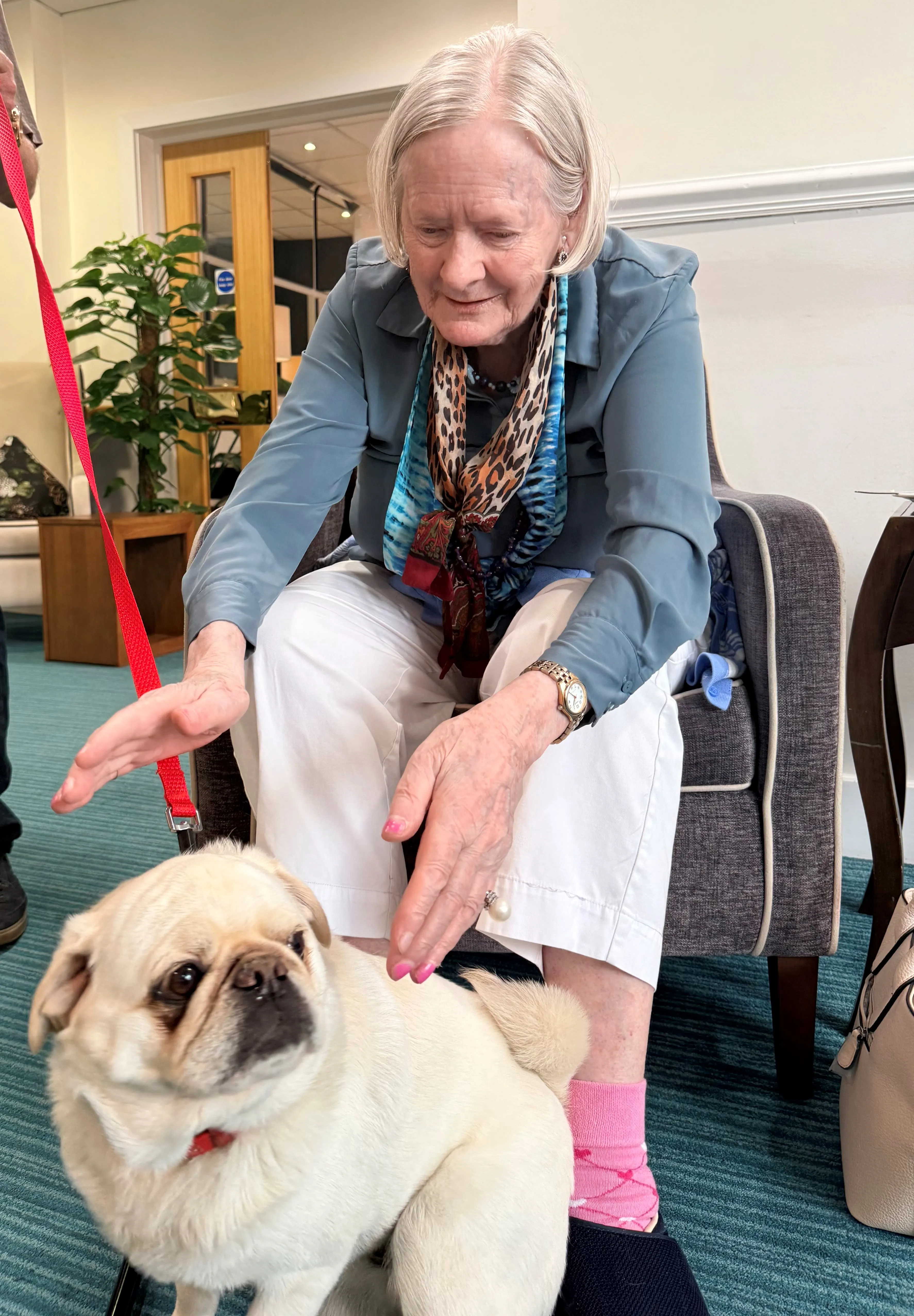 Pet therapy 