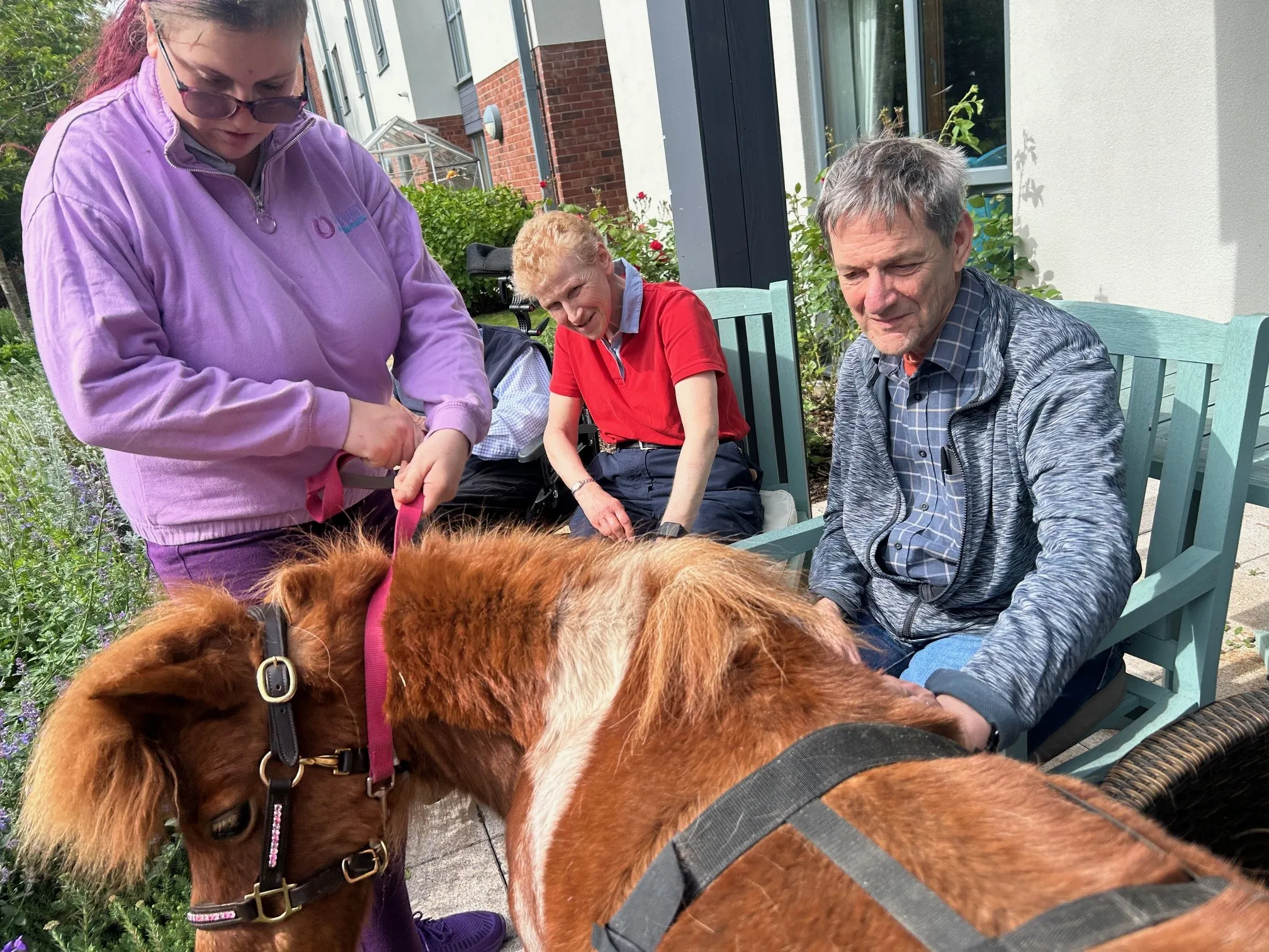Pet a Pony