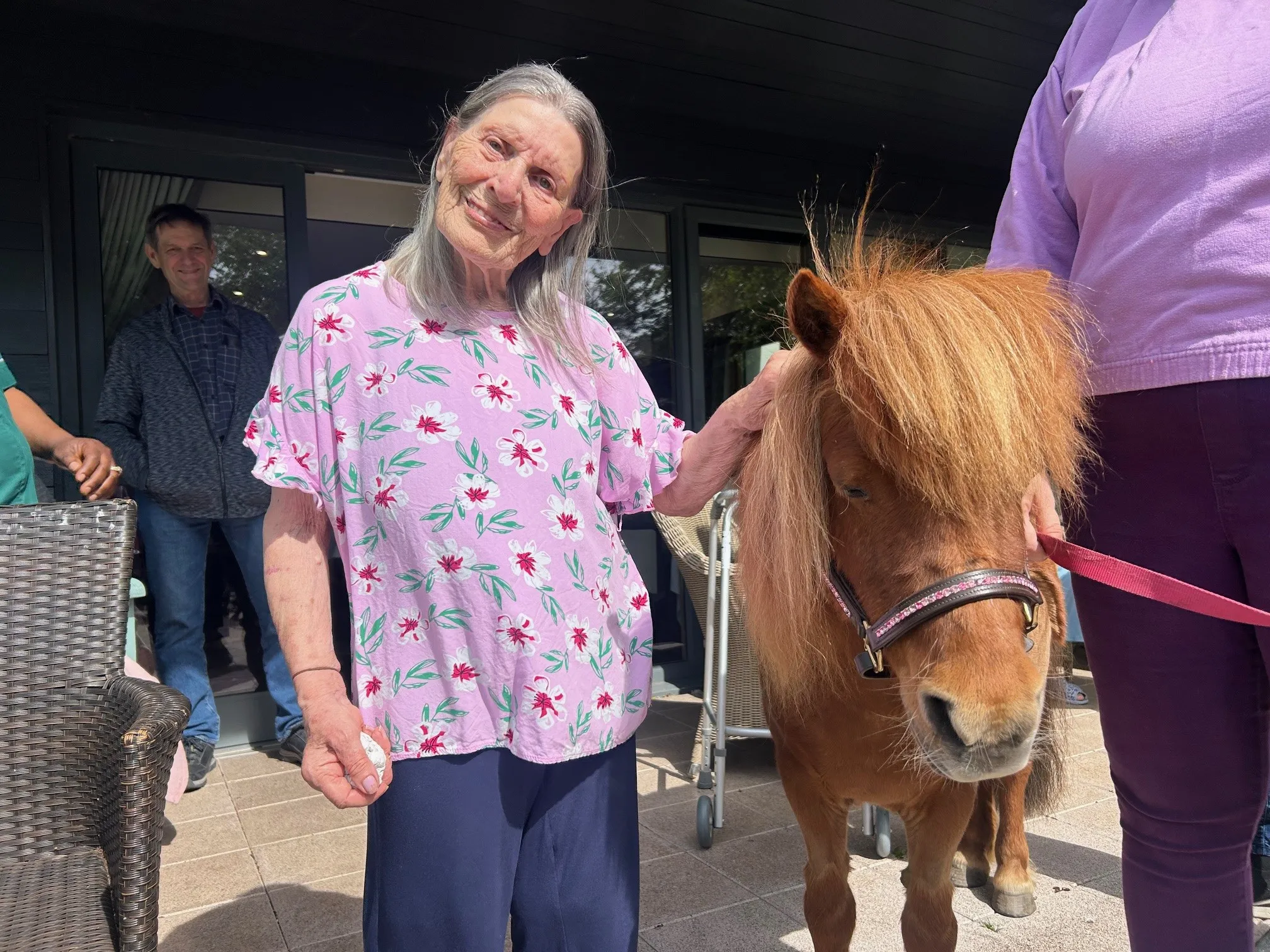 Pet a Pony