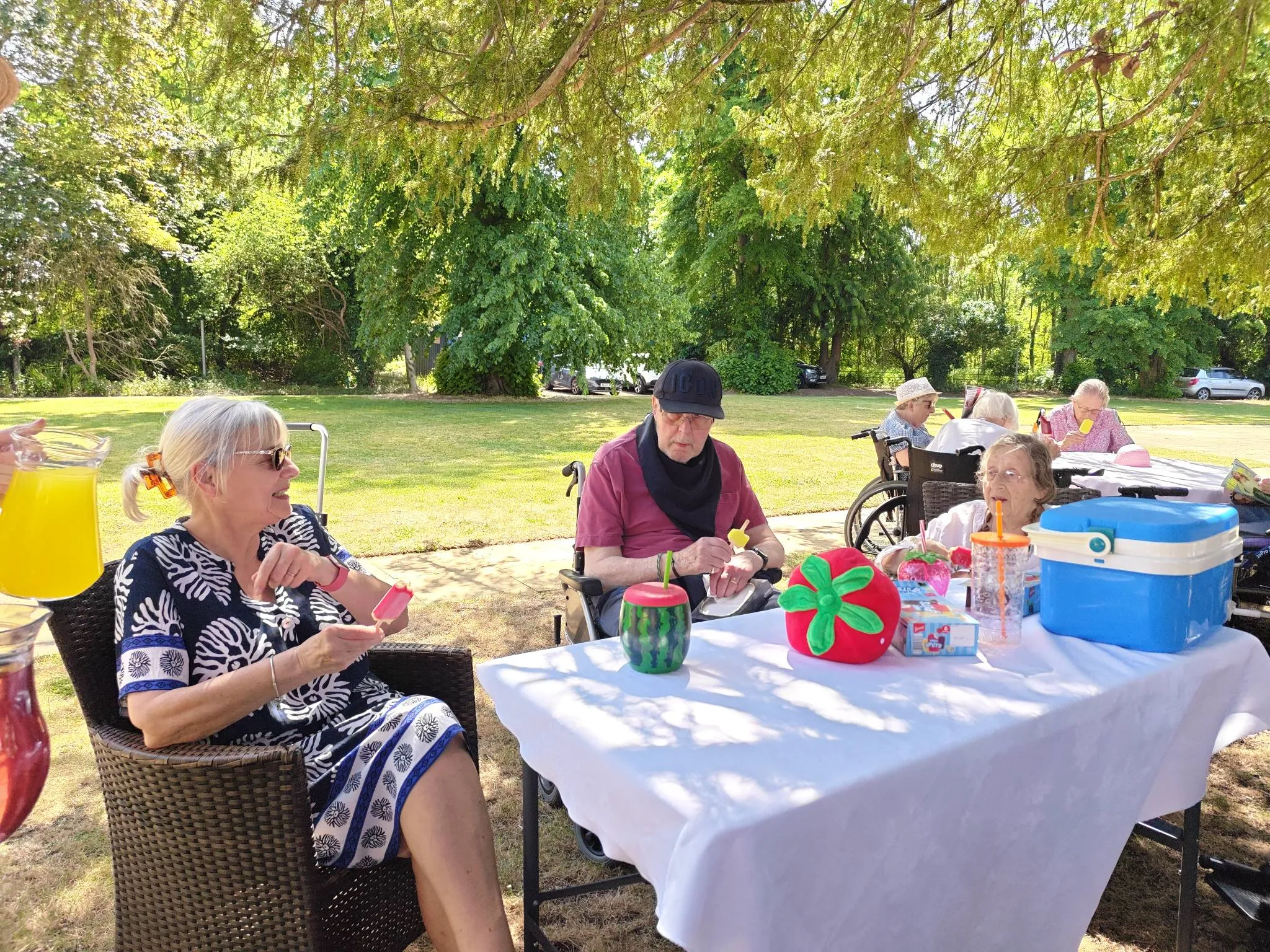 Hilton Park Residents Enjoy Morning in the Garden with Ice Lollies and Music