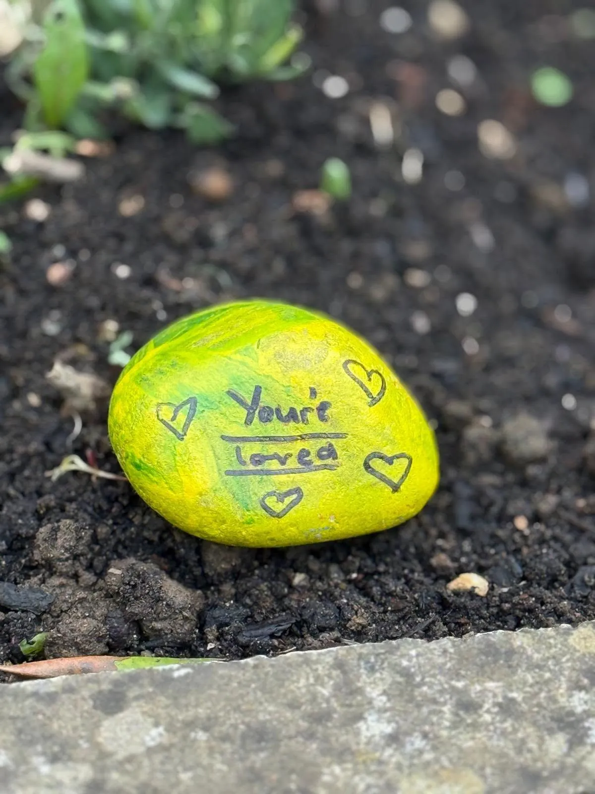 Girl Guides Brighten Up Our Garden 