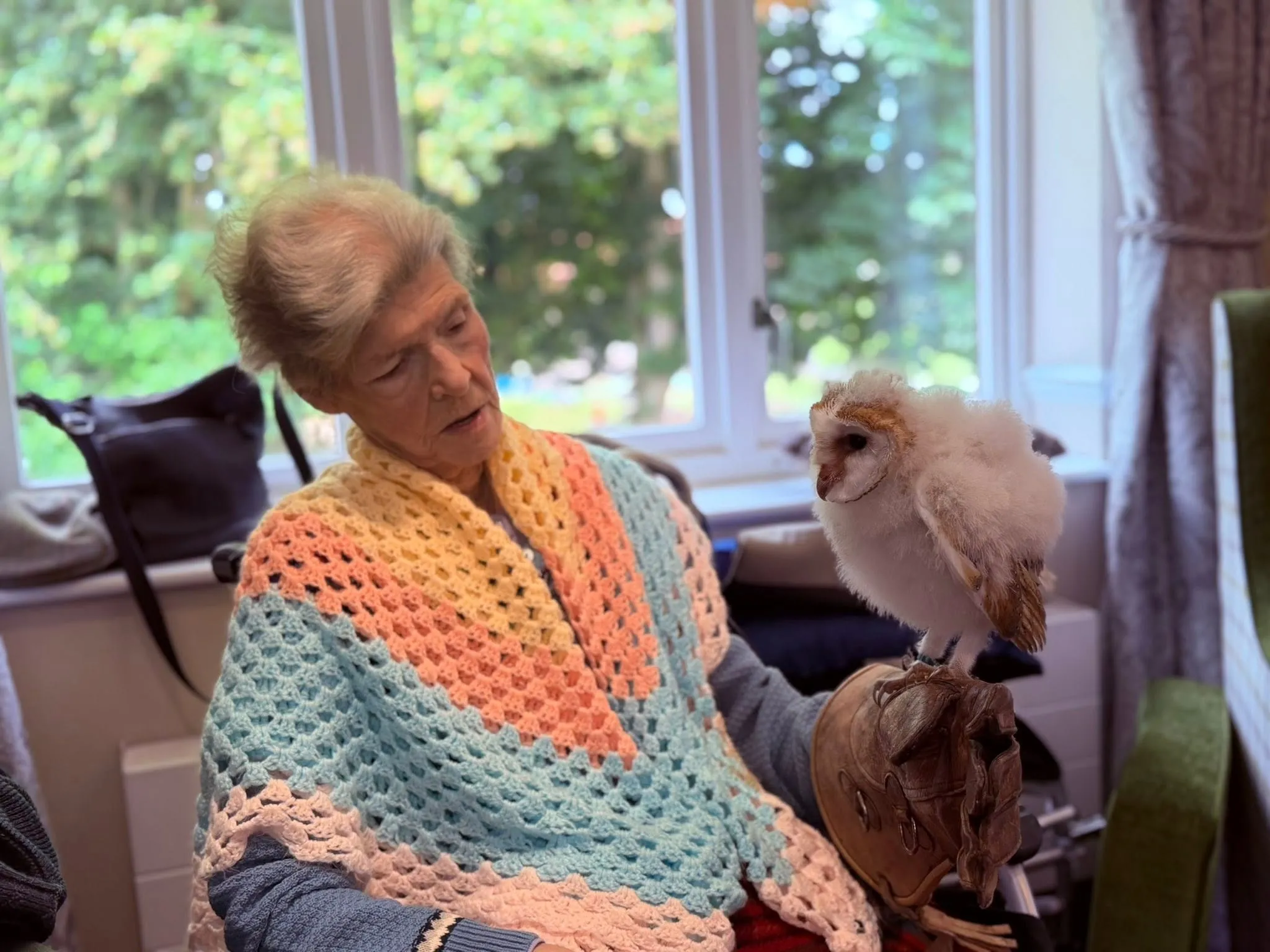 Residents meeting owls! 