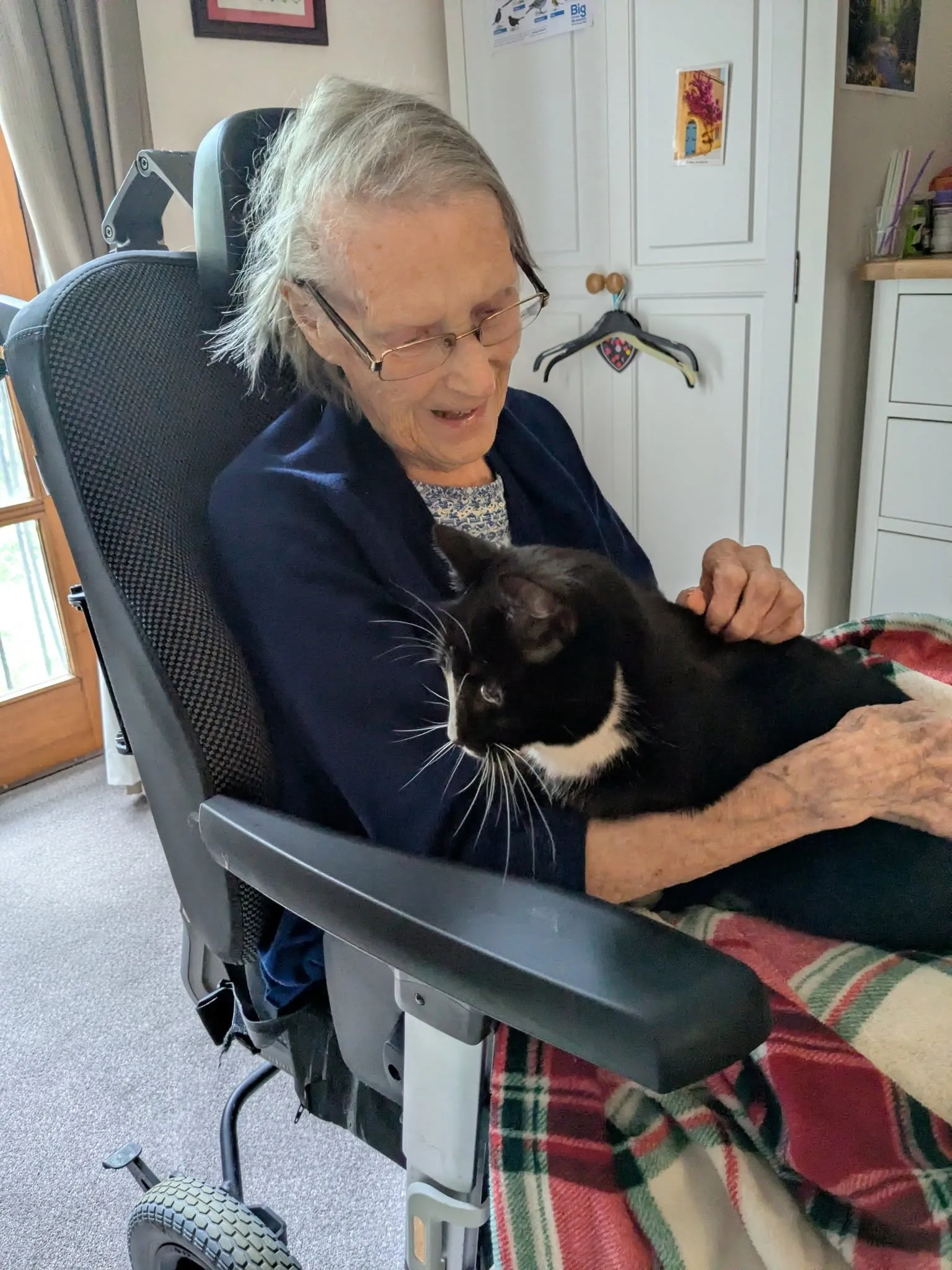 Pet therapy
