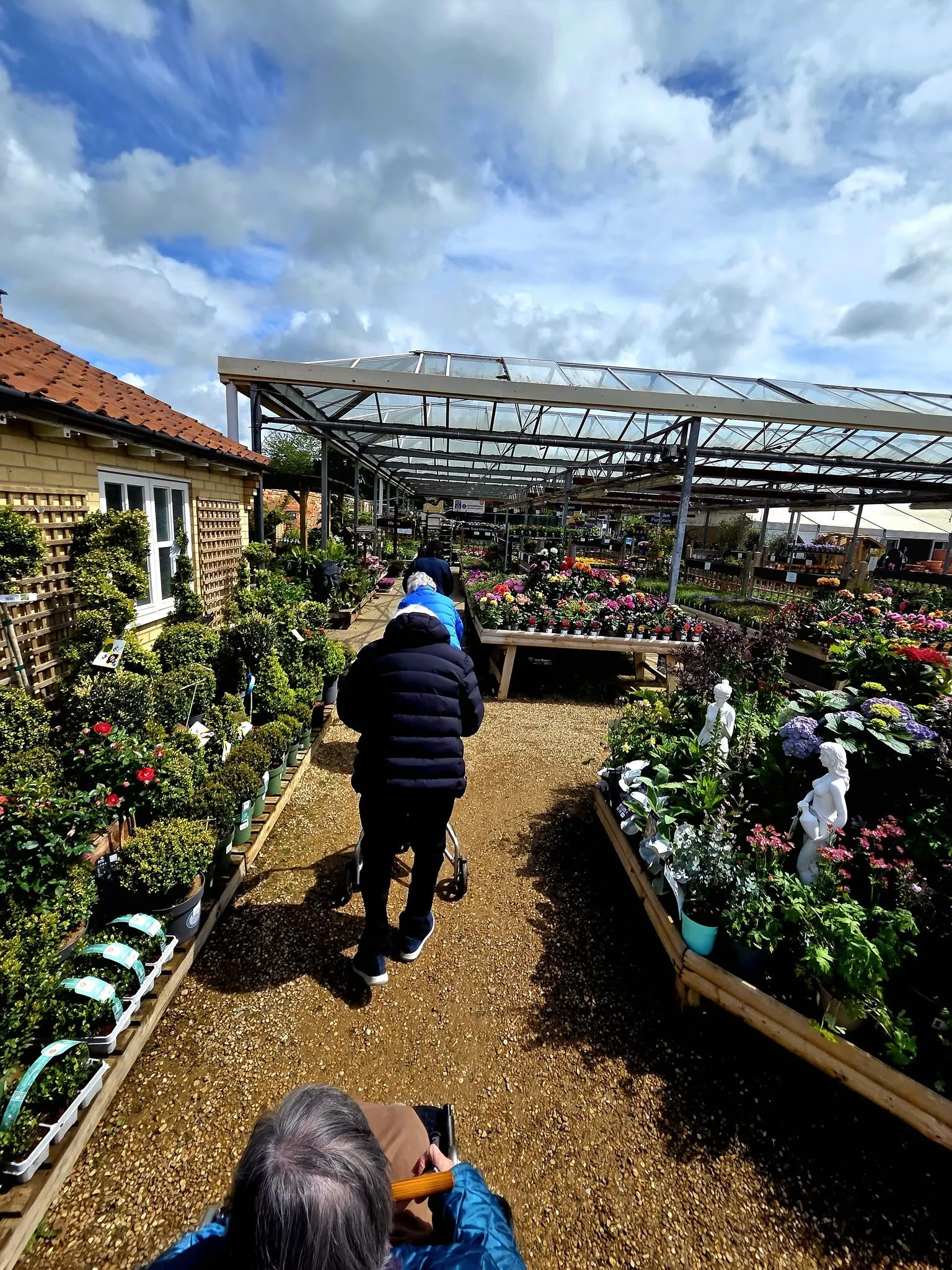 Elton Garden Centre - Chelsea Flower Show