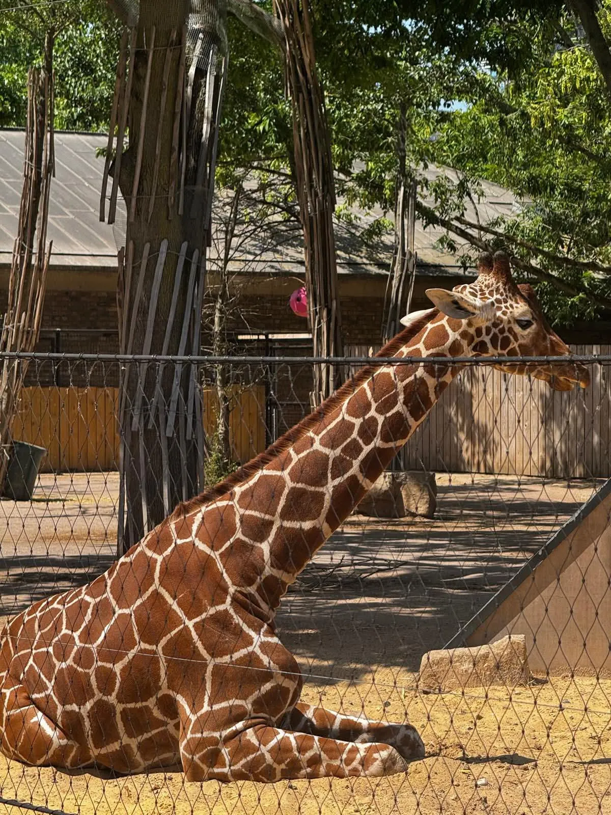 Park View at the zoo