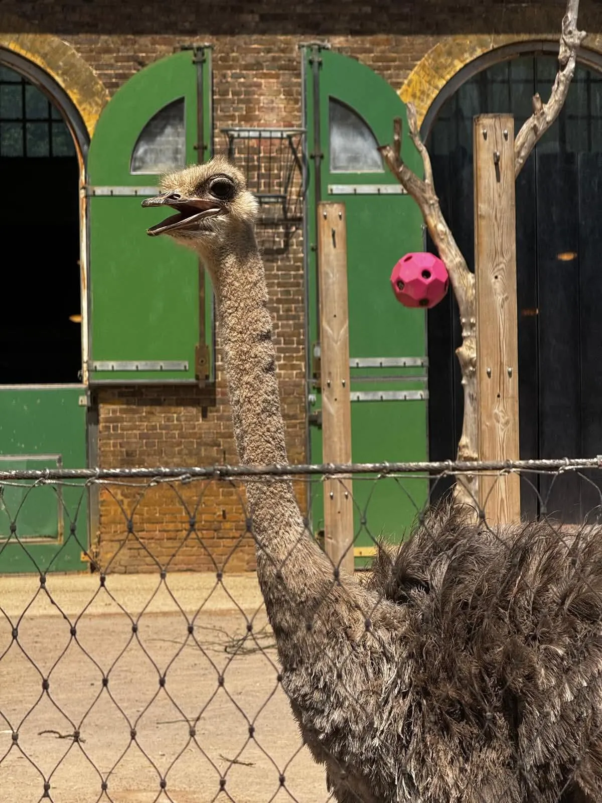 Park View at the zoo