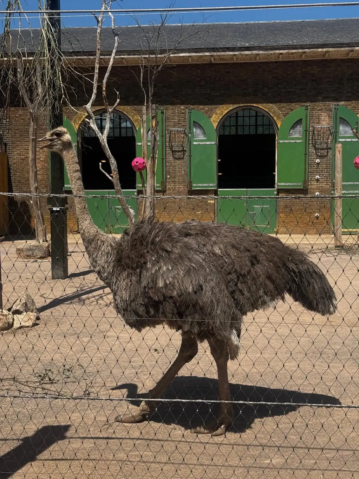 Park View at the zoo