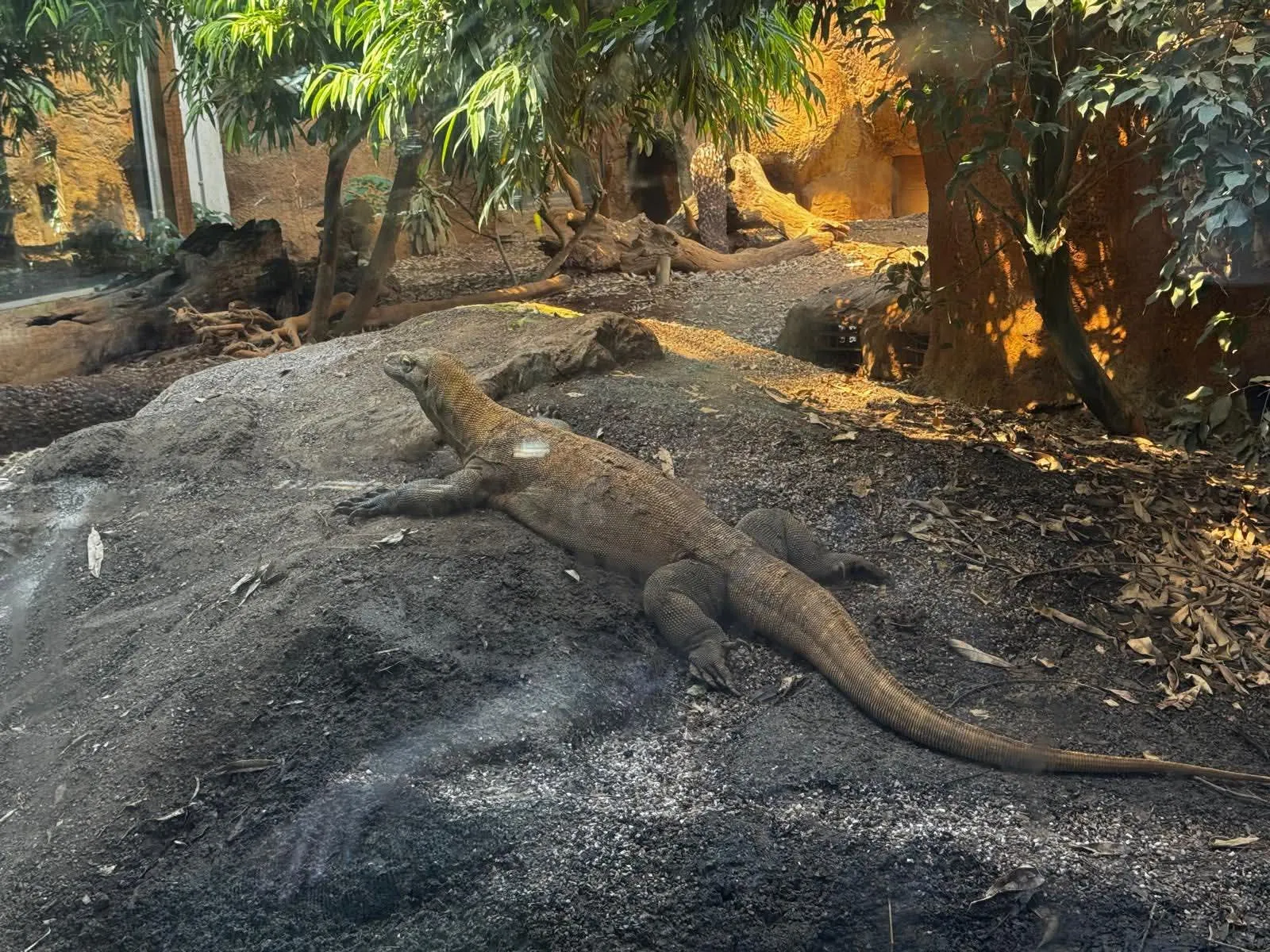 Park View at the zoo