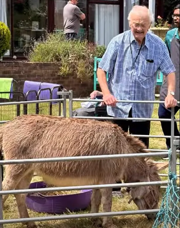 A visit from the farm